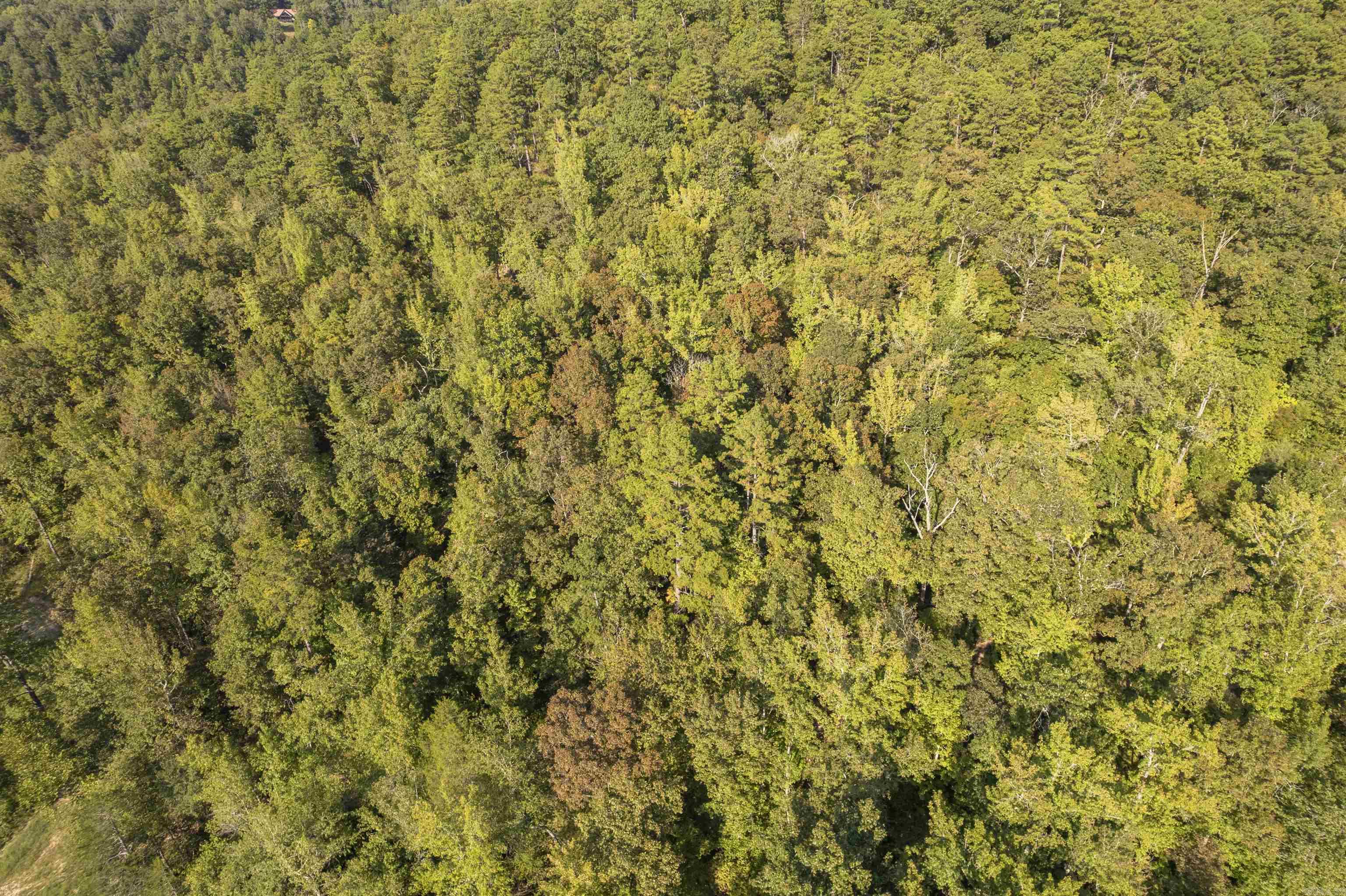 001-08532-000 NC 6012  Jasper, AR