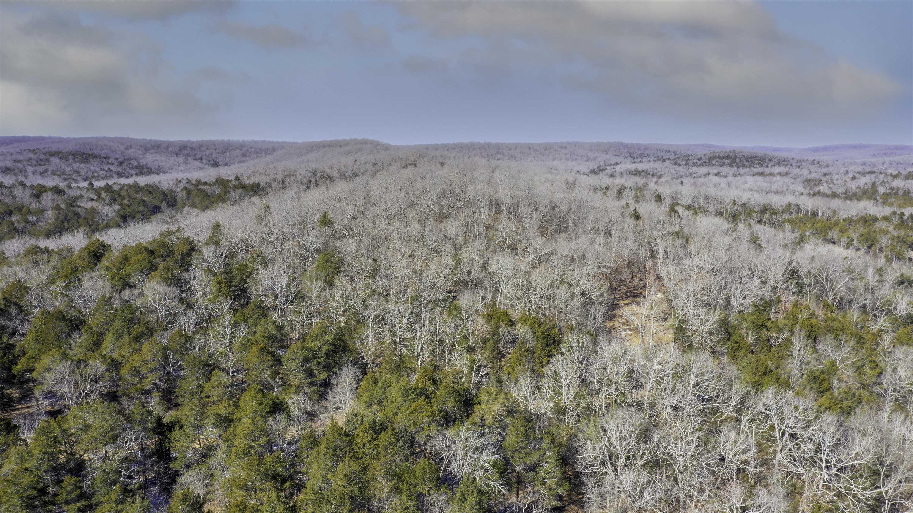 Lot 73 Big Buck  Williford, AR