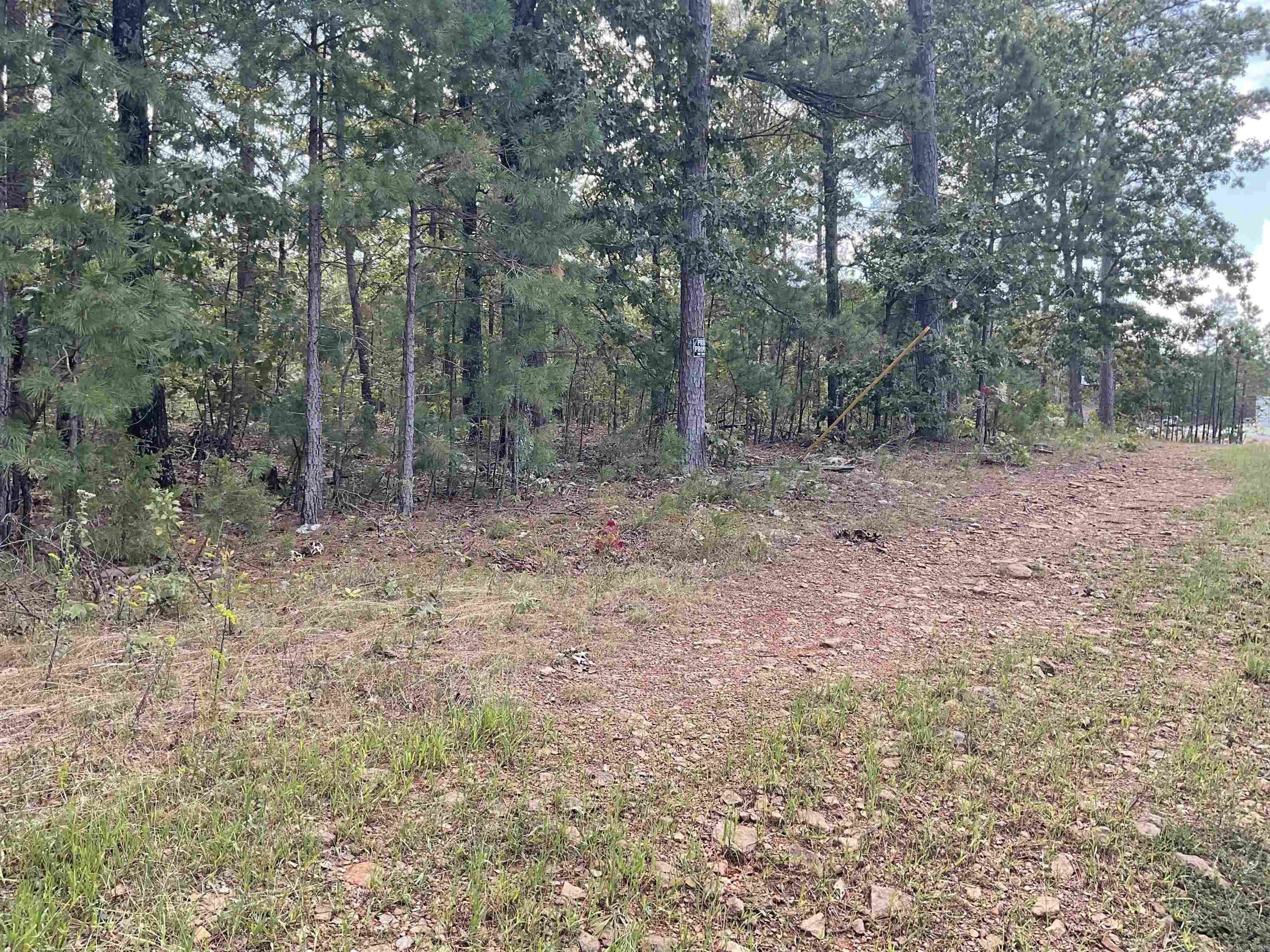 7330 Edgemont Rd  Greers Ferry, AR