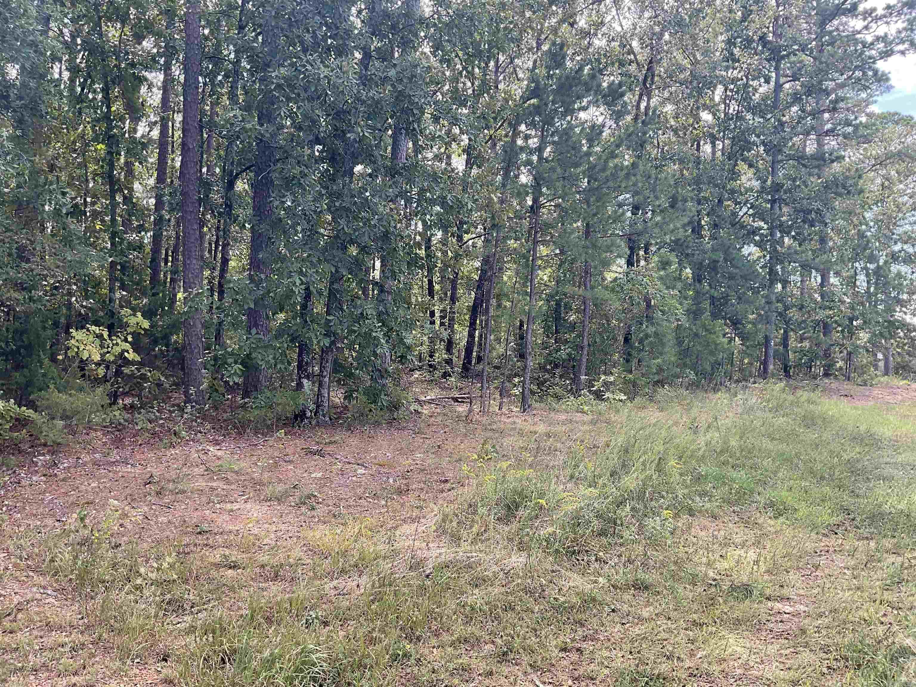 7330 Edgemont Rd  Greers Ferry, AR