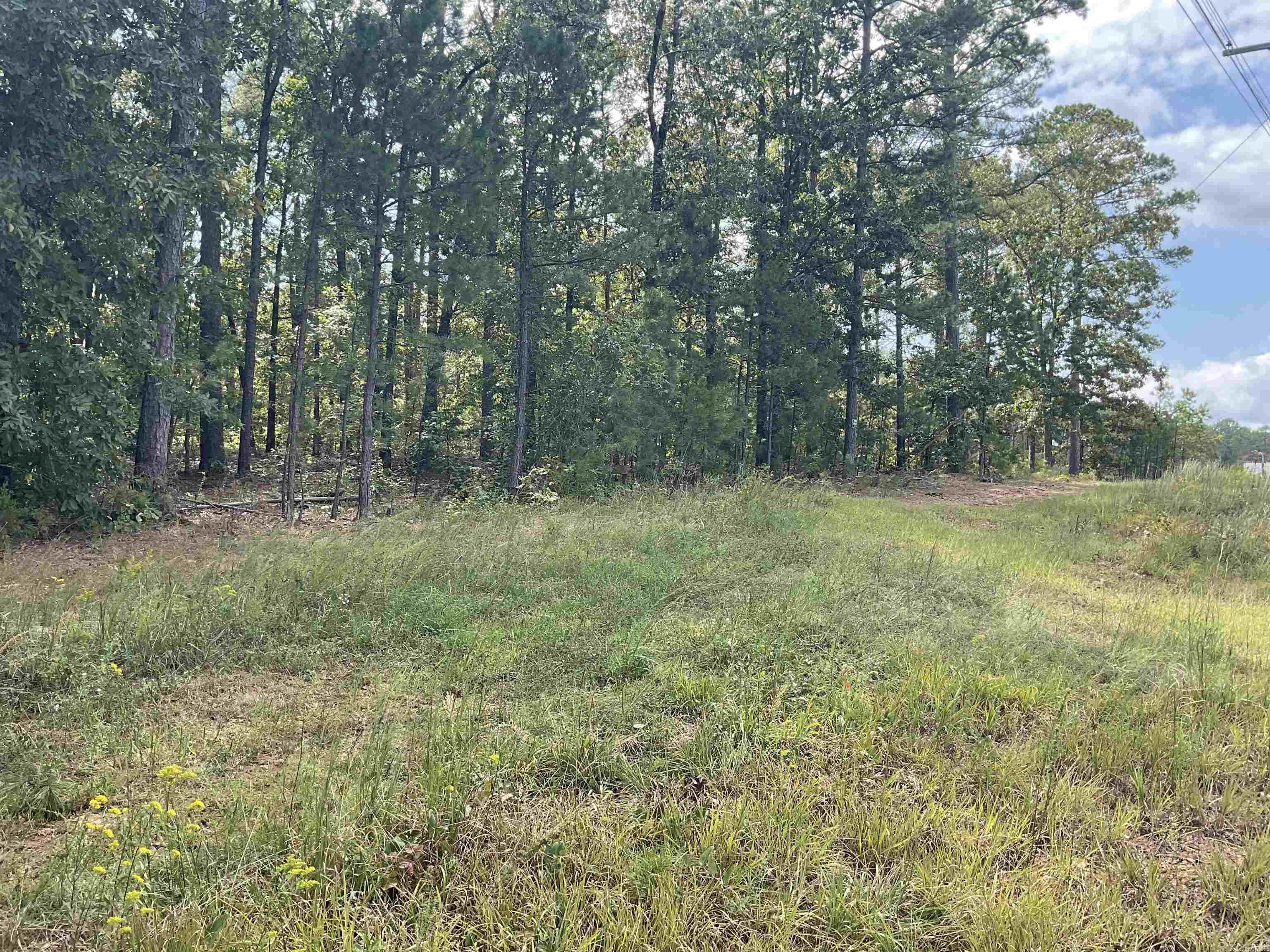 7330 Edgemont Rd  Greers Ferry, AR