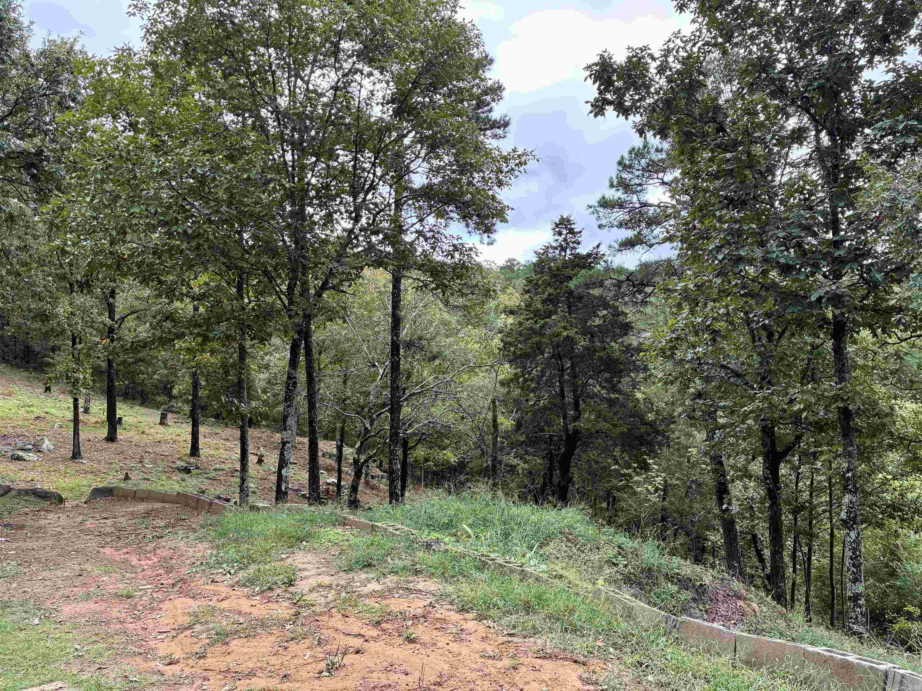 2352 Porter Rd.  Shirley, AR