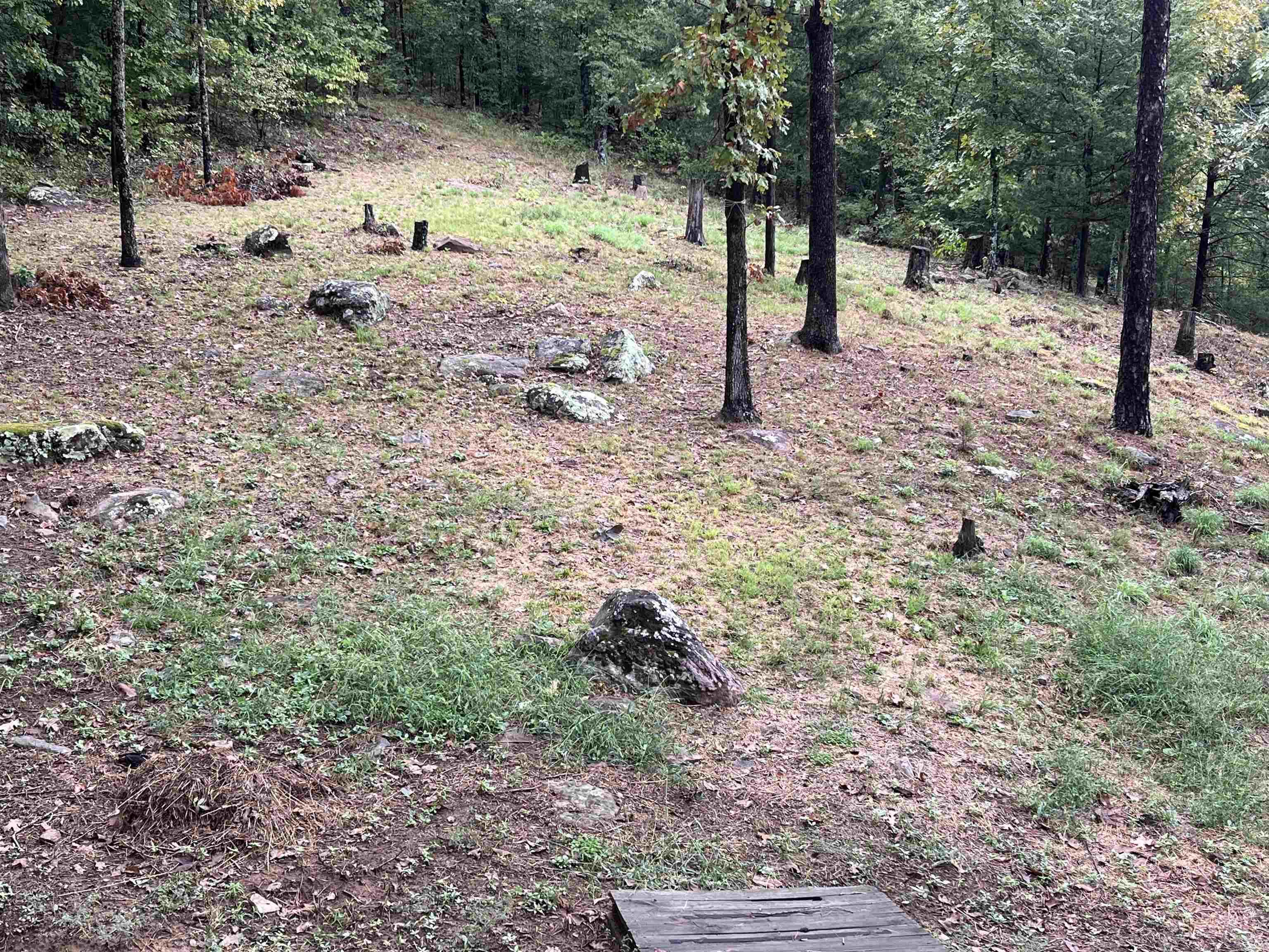 2352 Porter Rd.  Shirley, AR
