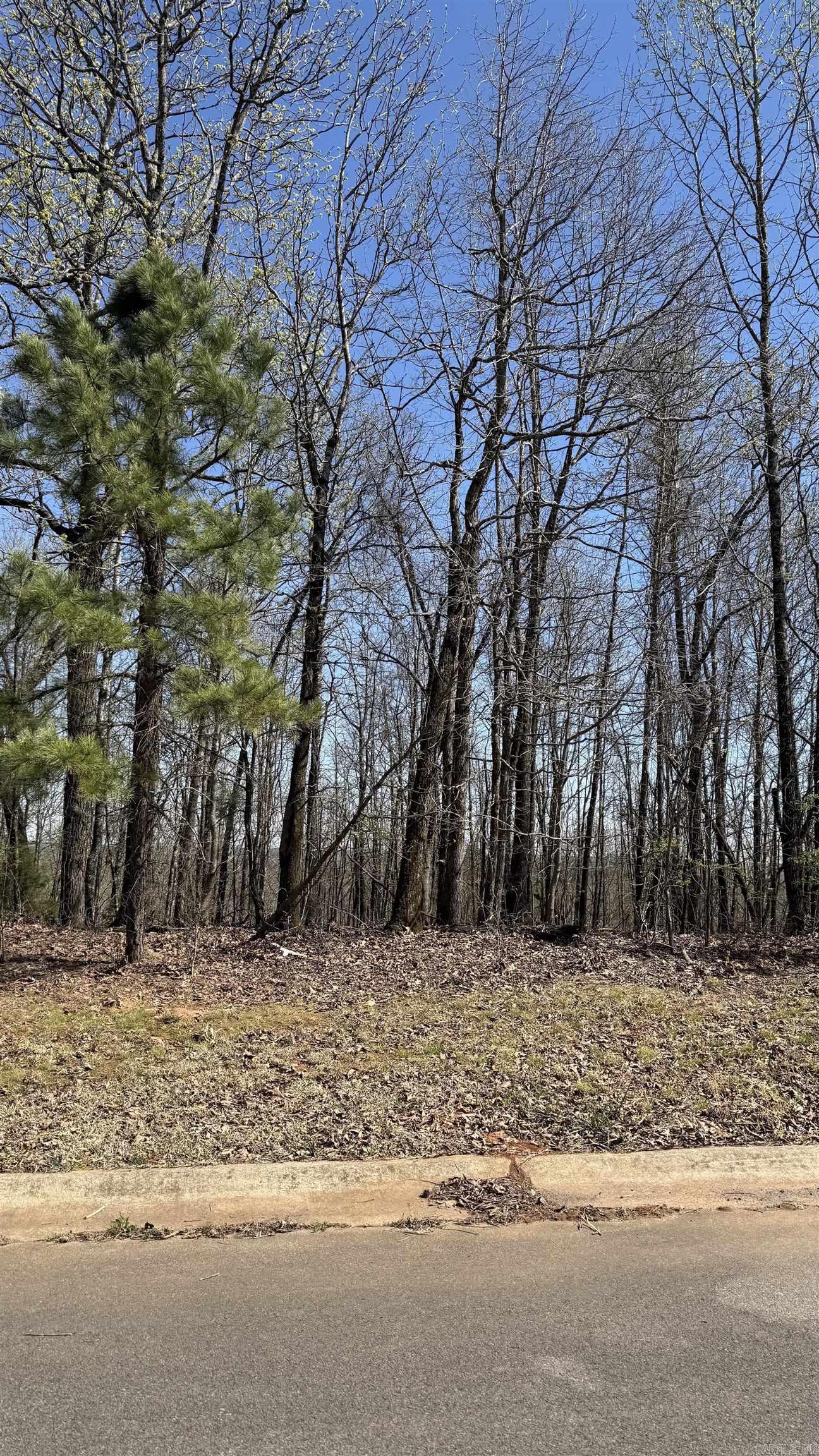 27 Mountain Vista  Alexander, AR
