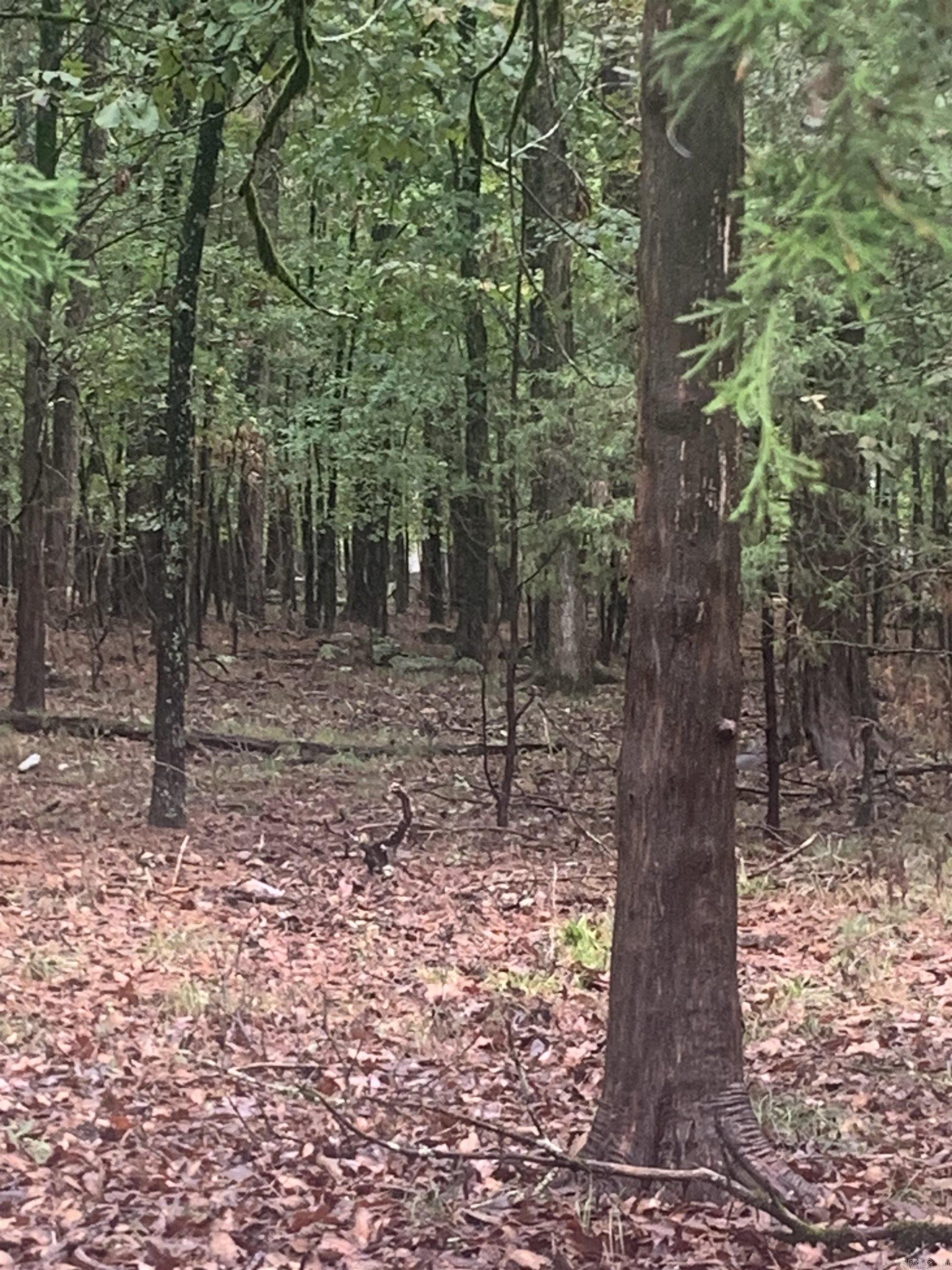 Lot 52 Tannenbaum Roads  Drasco, AR