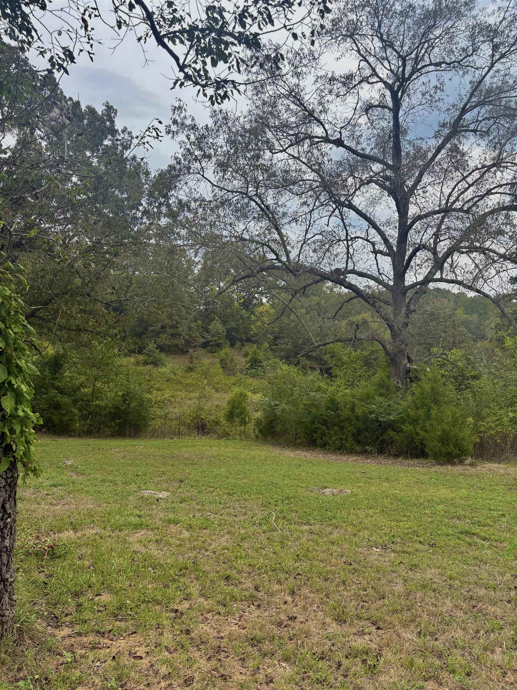 225 Claxton  Cushman, AR