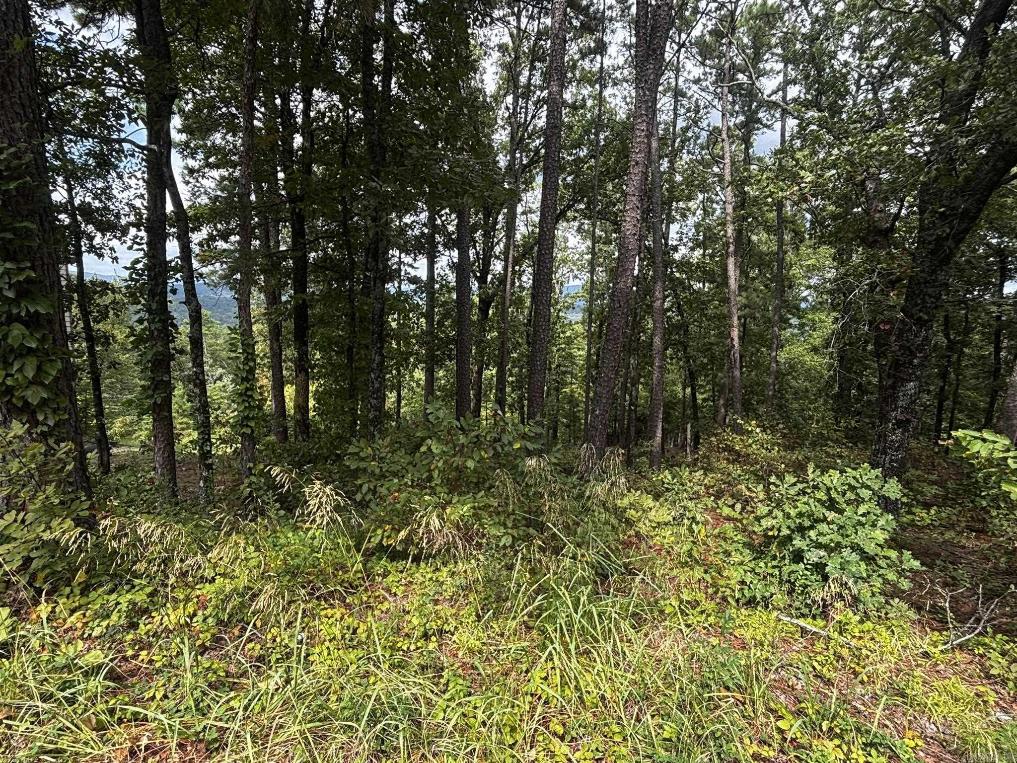 142 E Villena  Hot Springs Village, AR