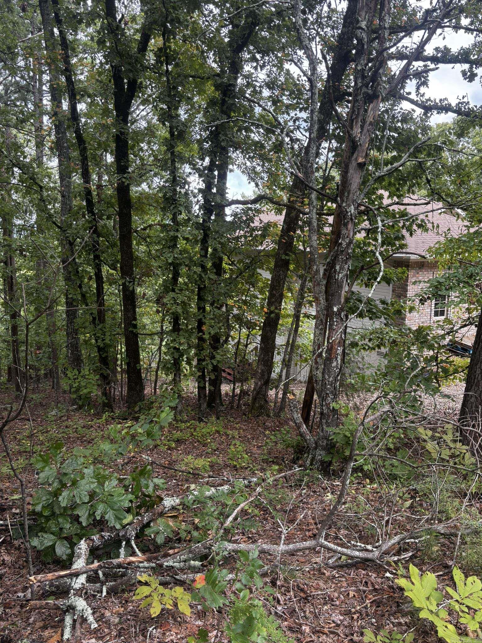 142 E Villena  Hot Springs Village, AR