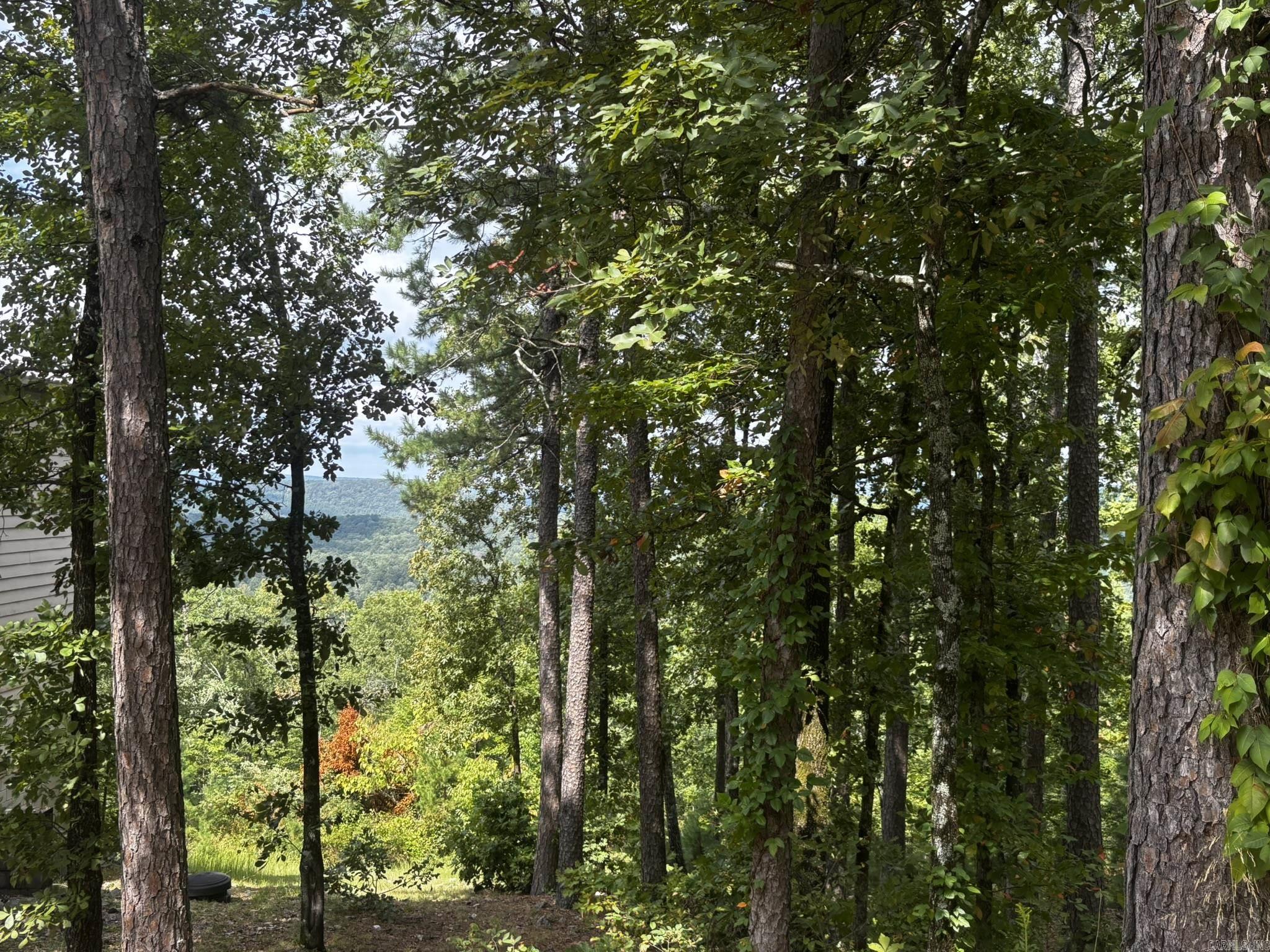140 E Villena  Hot Springs, AR