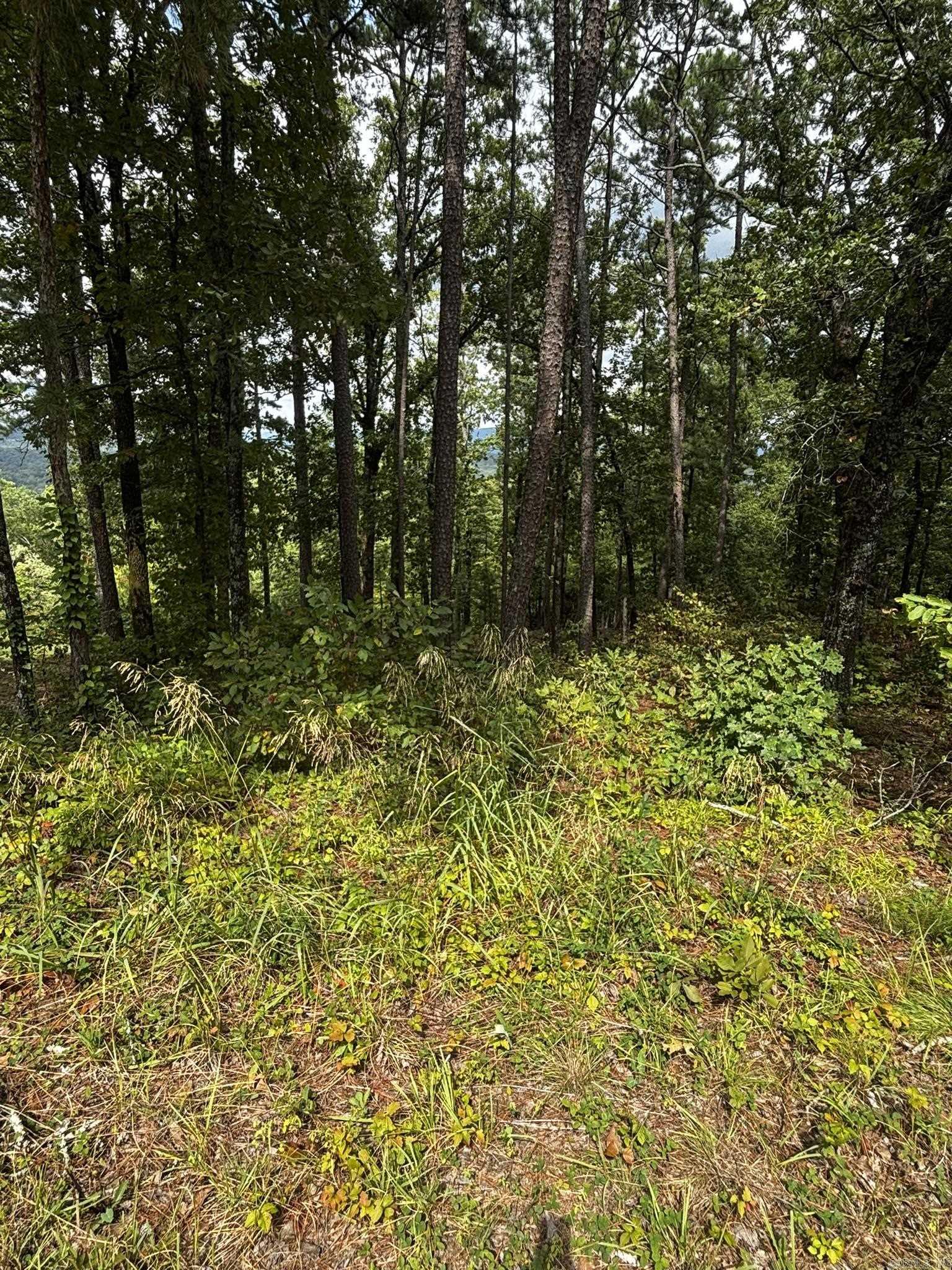 140 E Villena  Hot Springs, AR