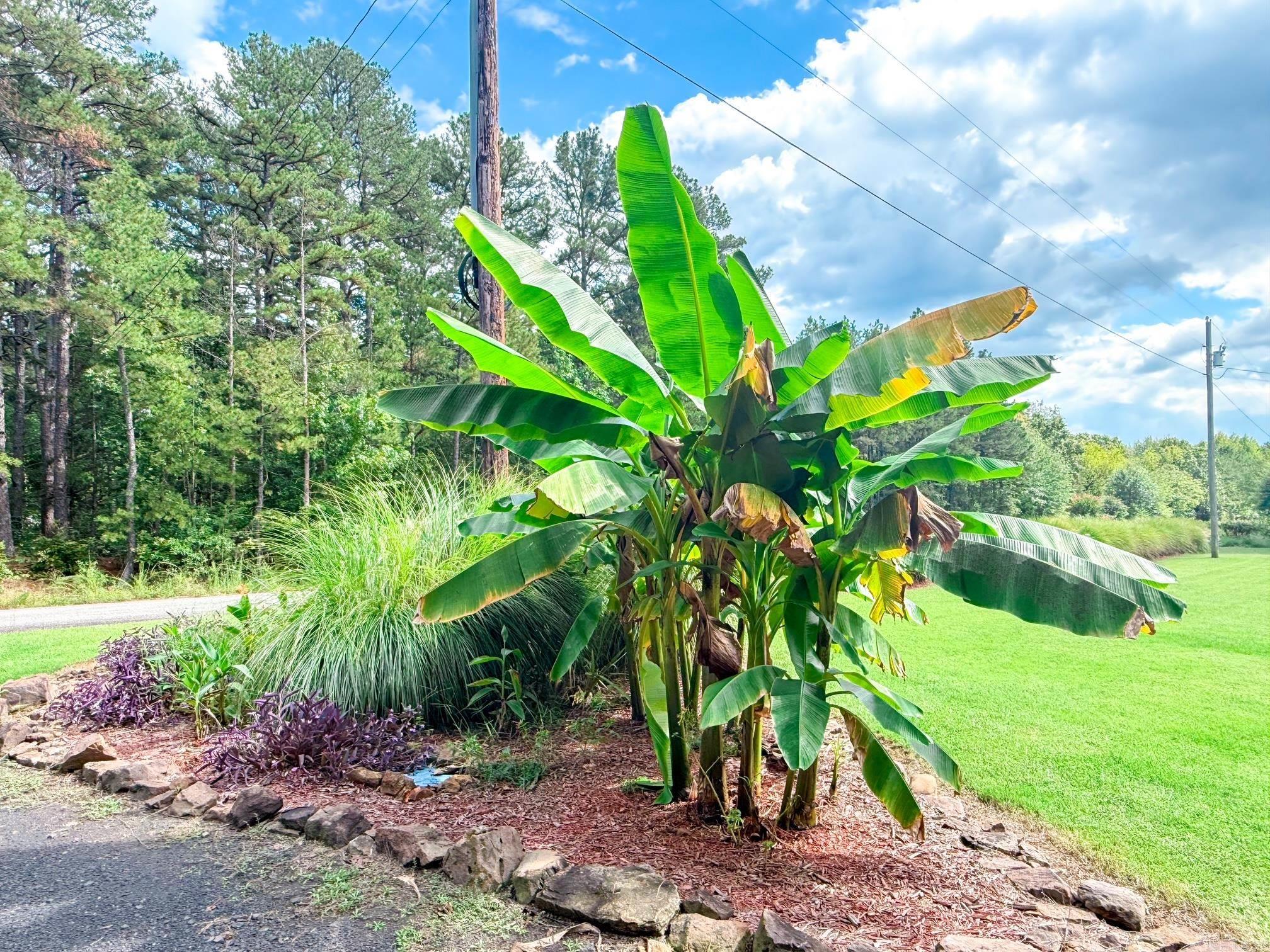 172 Heather Lane  Shirley, AR