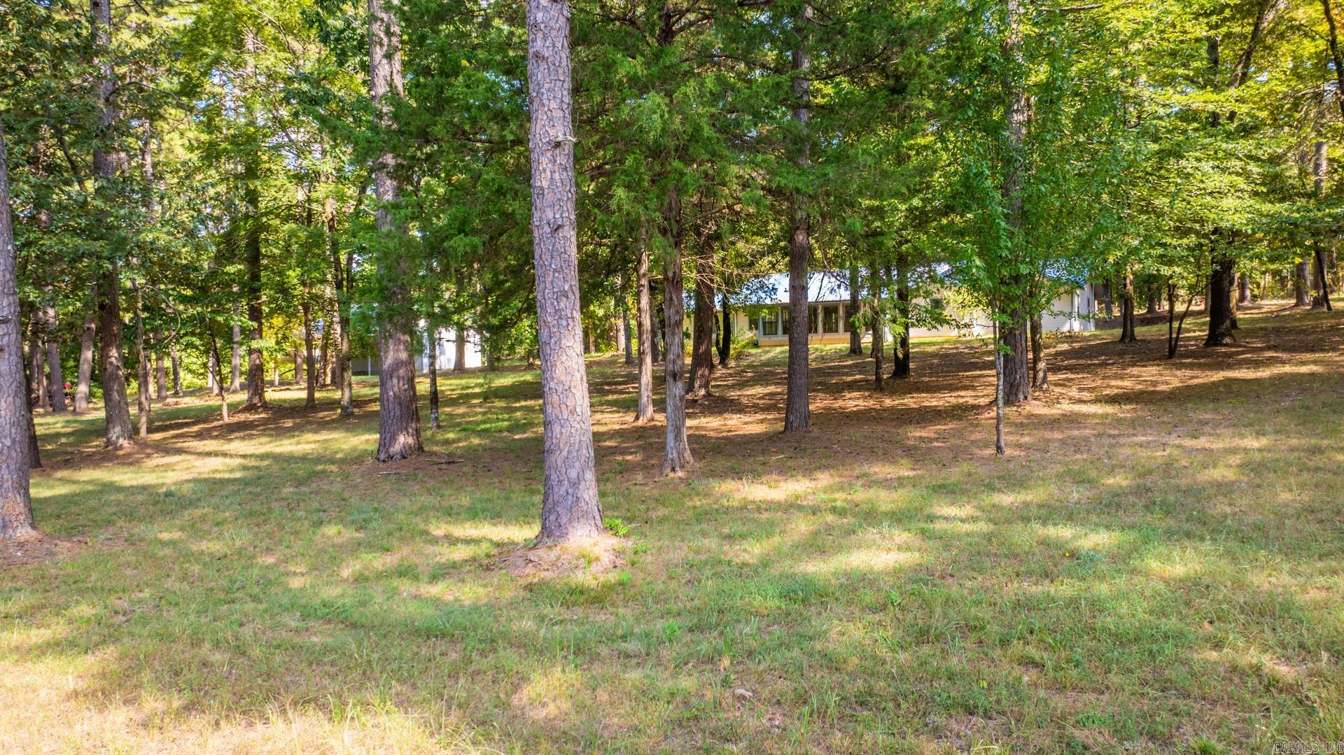 11 Sharon  Conway, AR