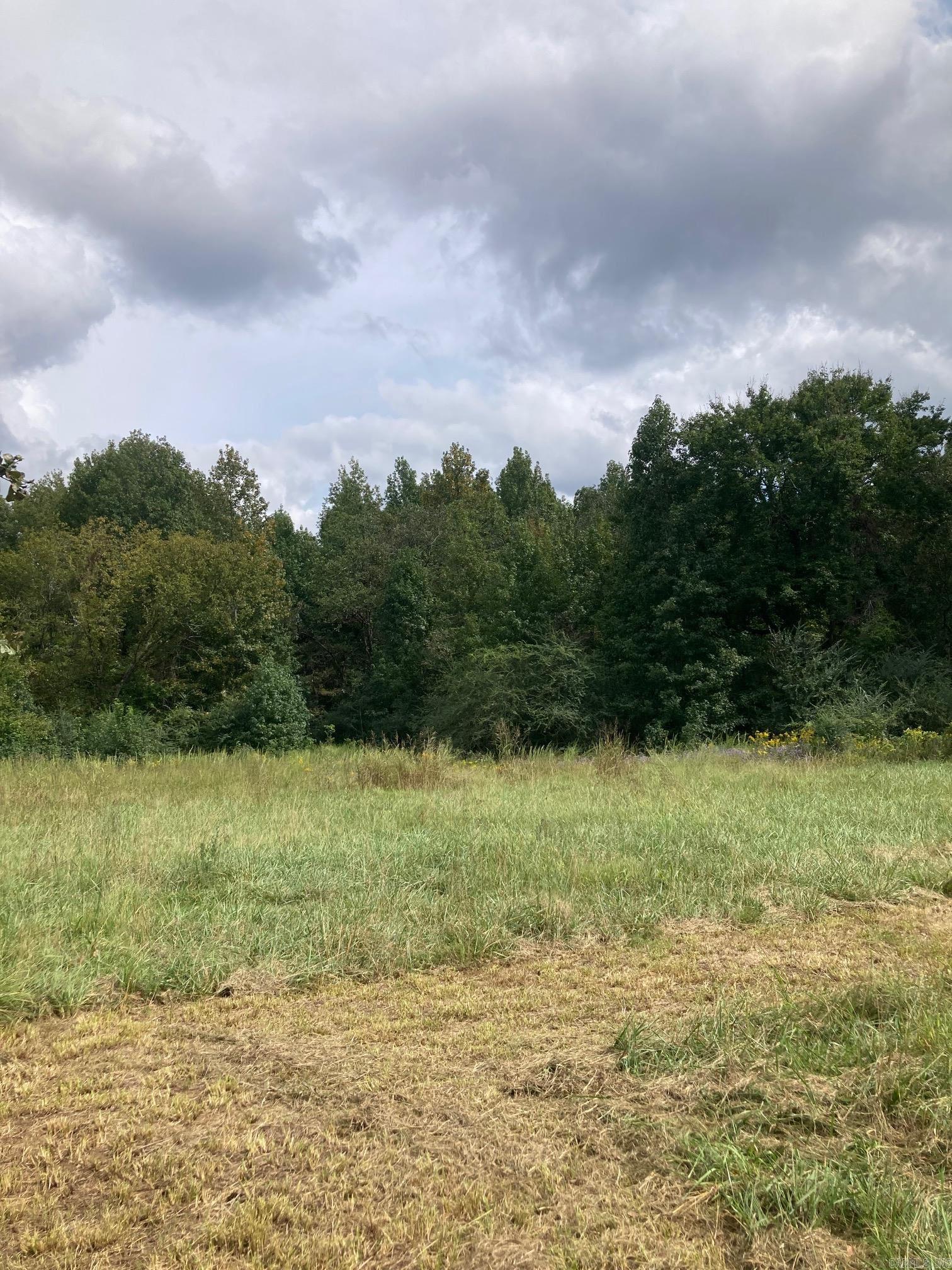 567 Daffodill  Romance, AR