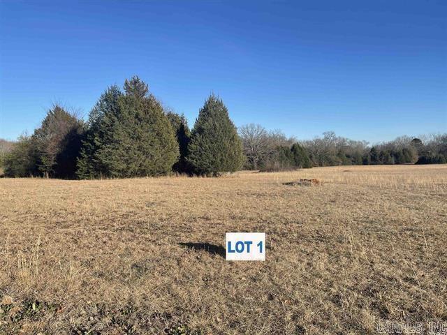 62 Addi  Conway, AR