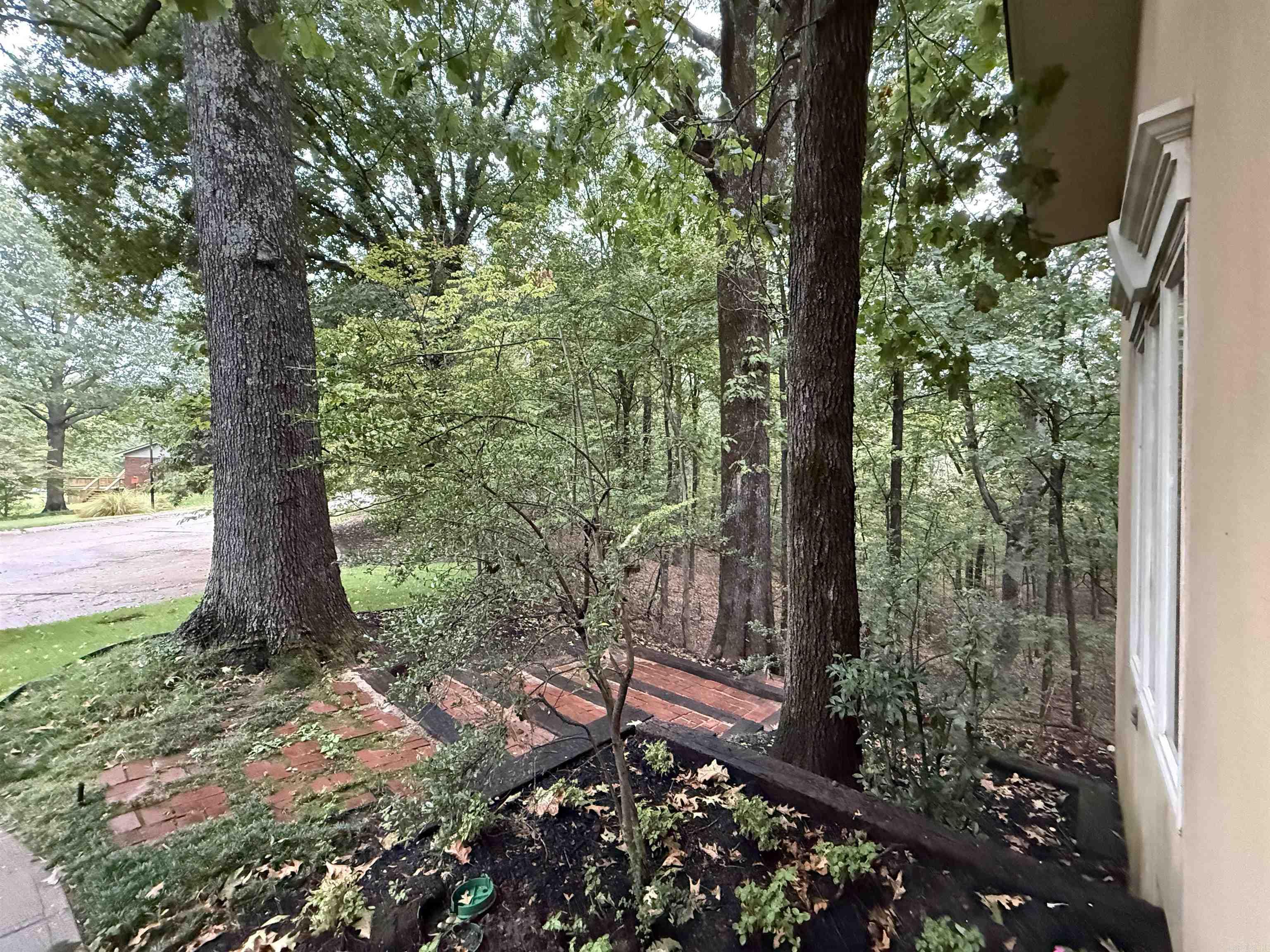 917 Calvert Cv  Forrest City, AR