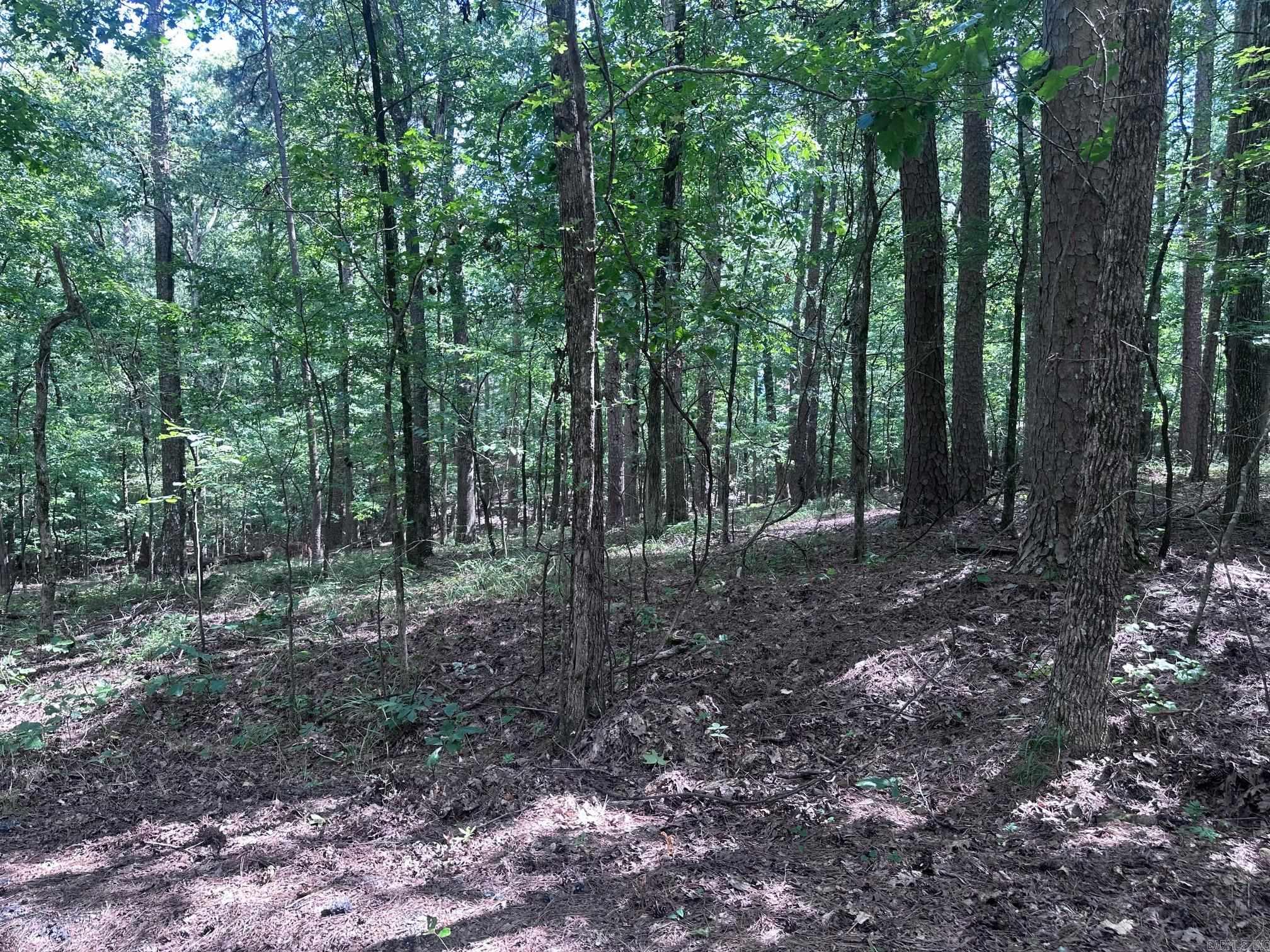 7 Novato Ln  Hot Springs Village, AR