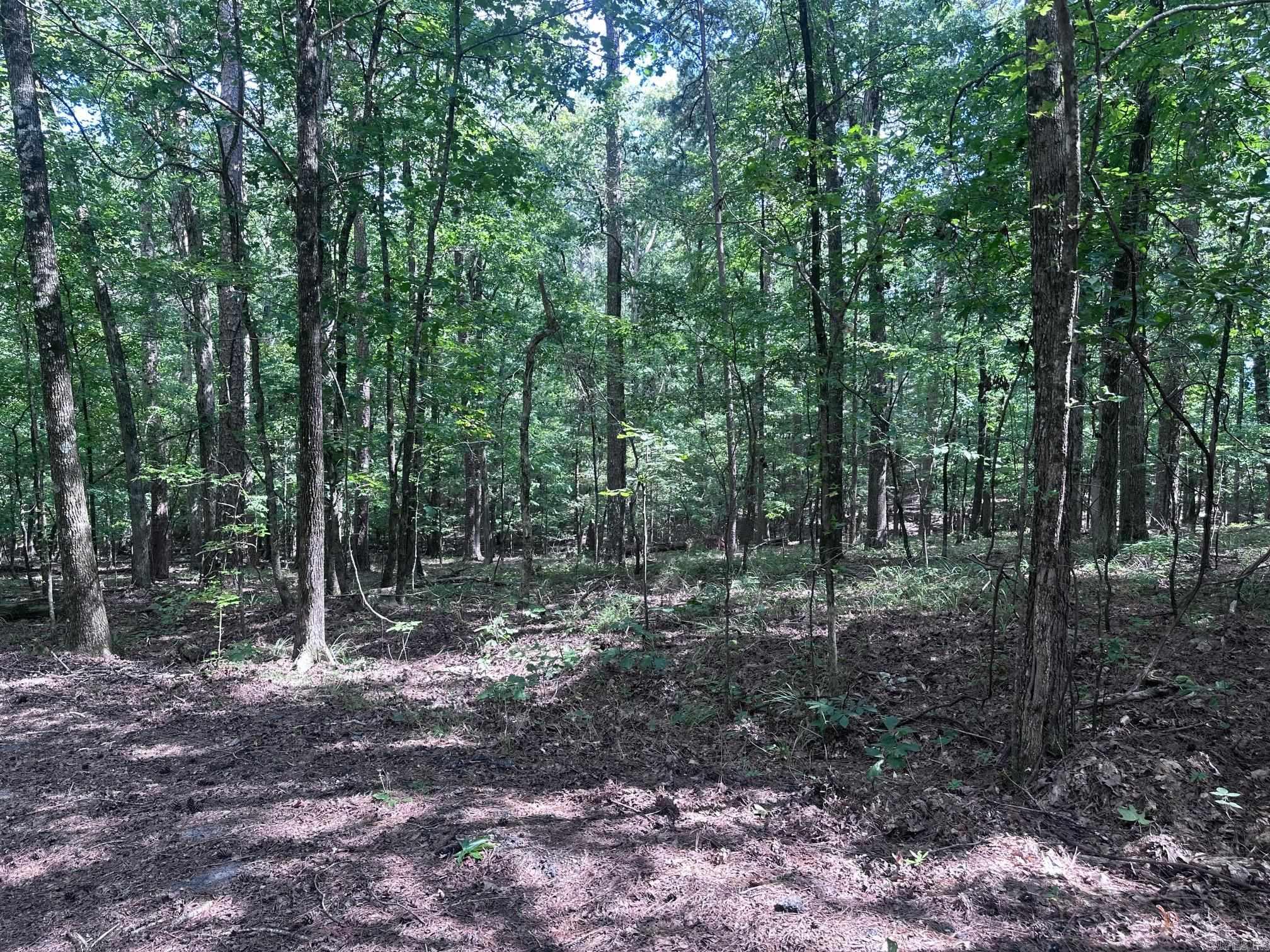 7 Novato Ln  Hot Springs Village, AR