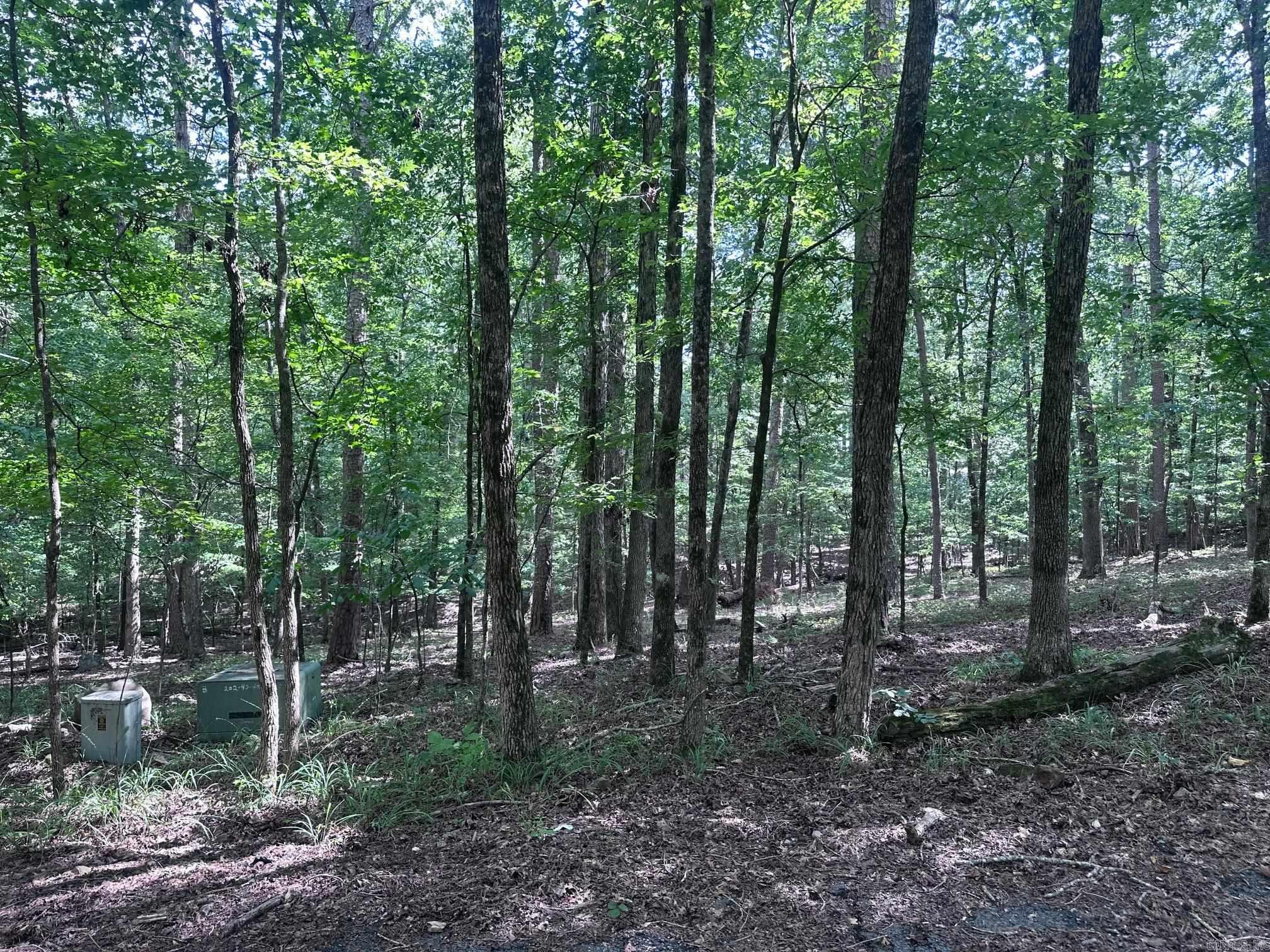 7 Novato Ln  Hot Springs Village, AR