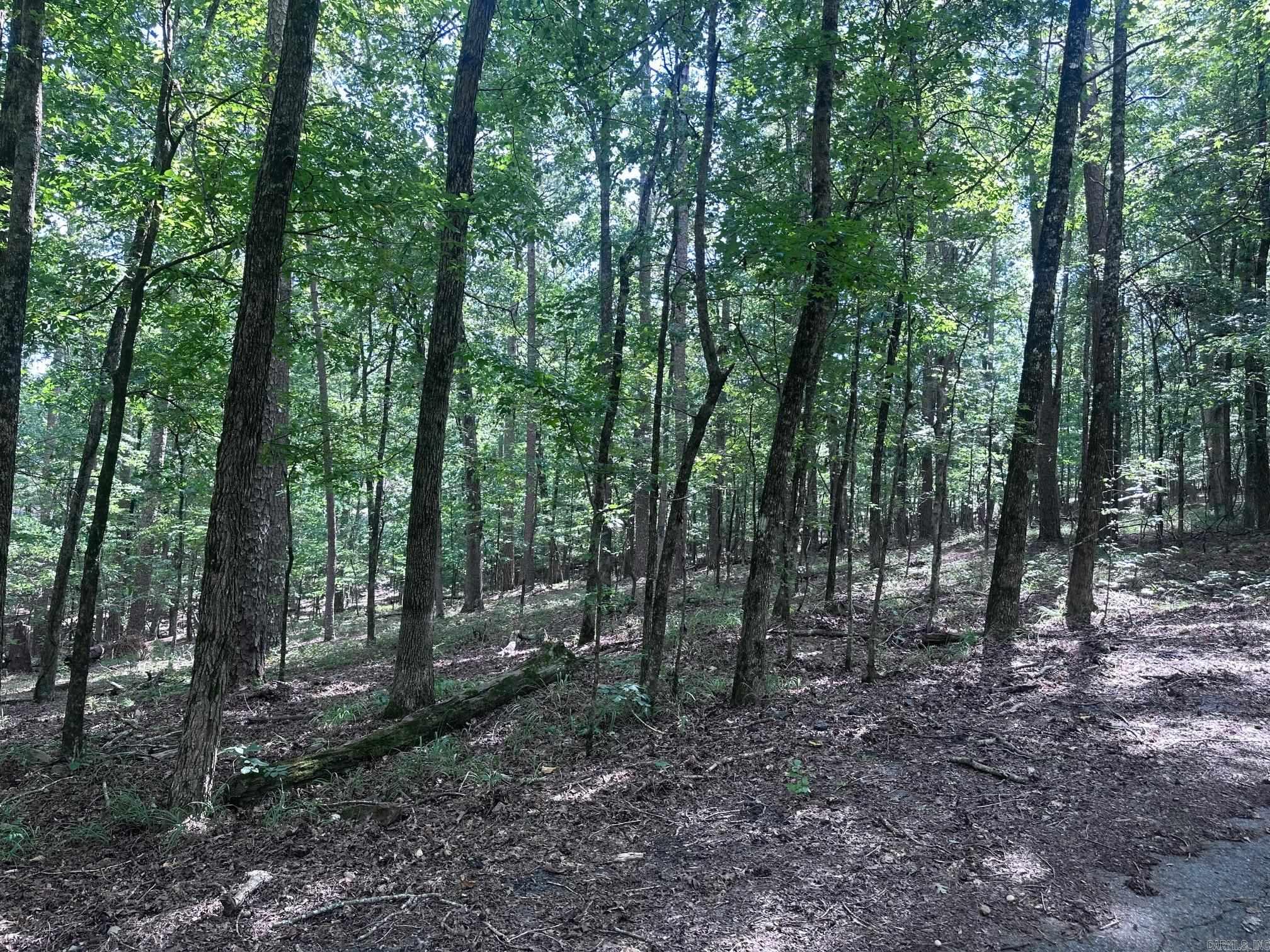 7 Novato Ln  Hot Springs Village, AR