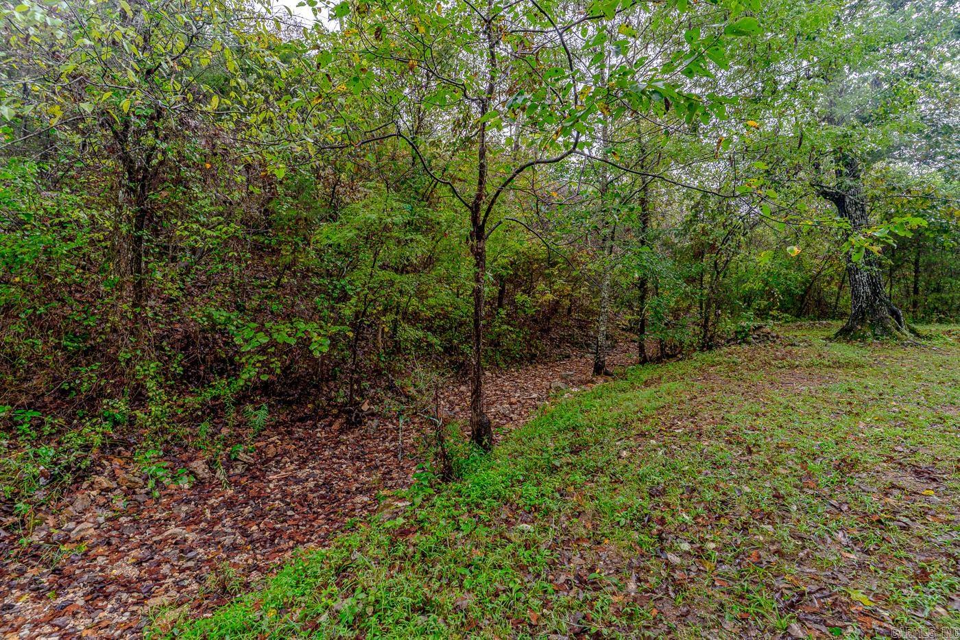 17 Duroc  Cherokee Village, AR