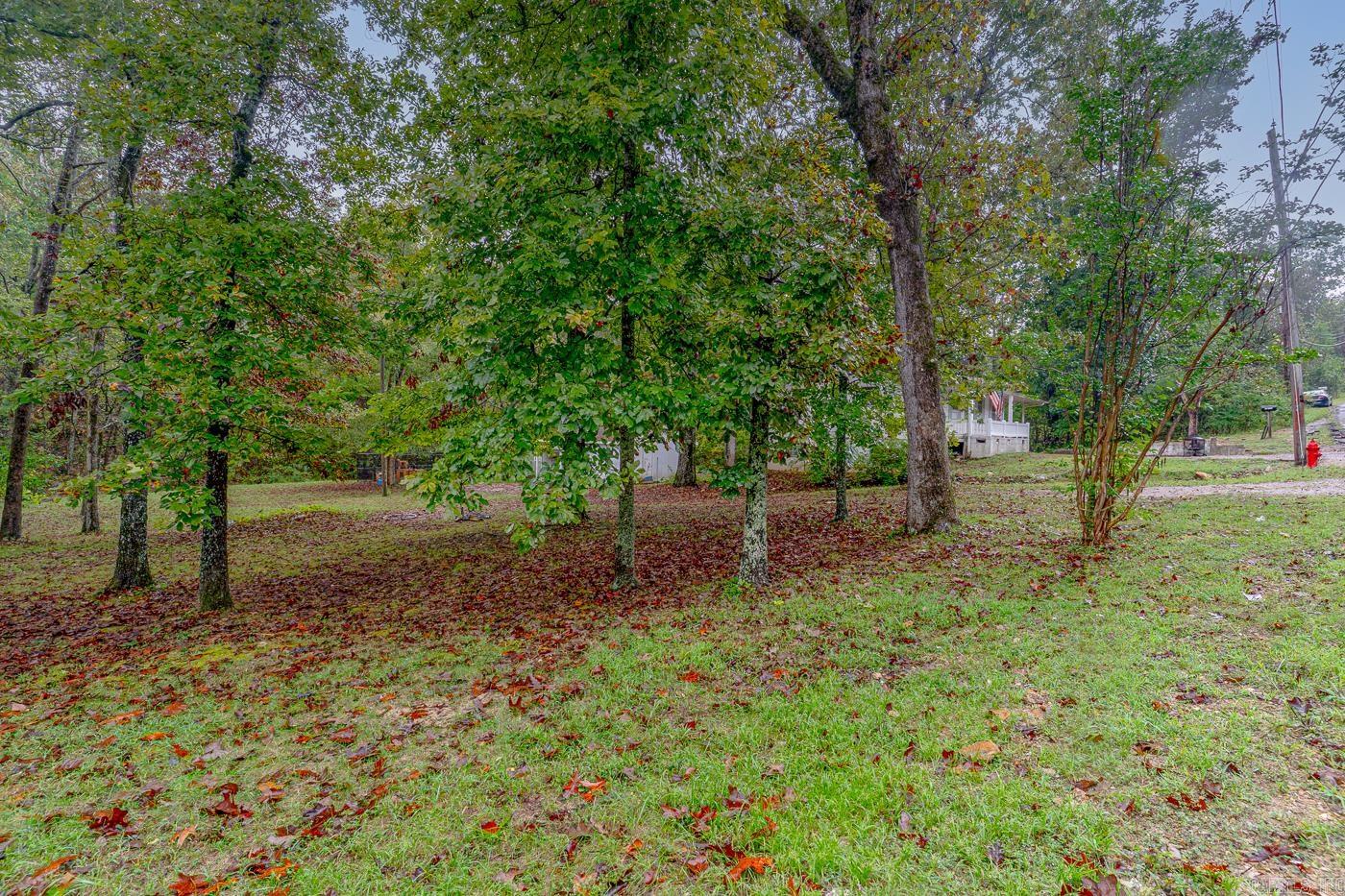17 Duroc  Cherokee Village, AR