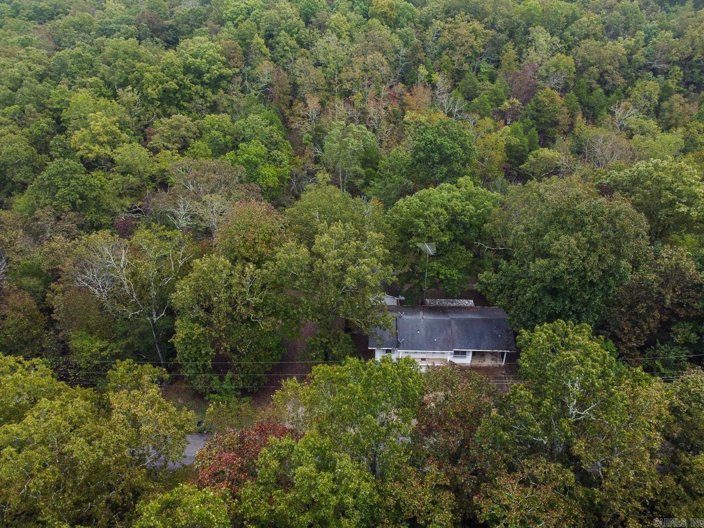 17 Duroc  Cherokee Village, AR