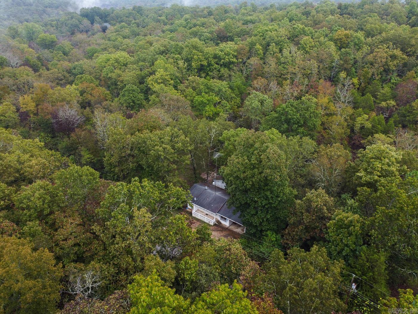 17 Duroc  Cherokee Village, AR