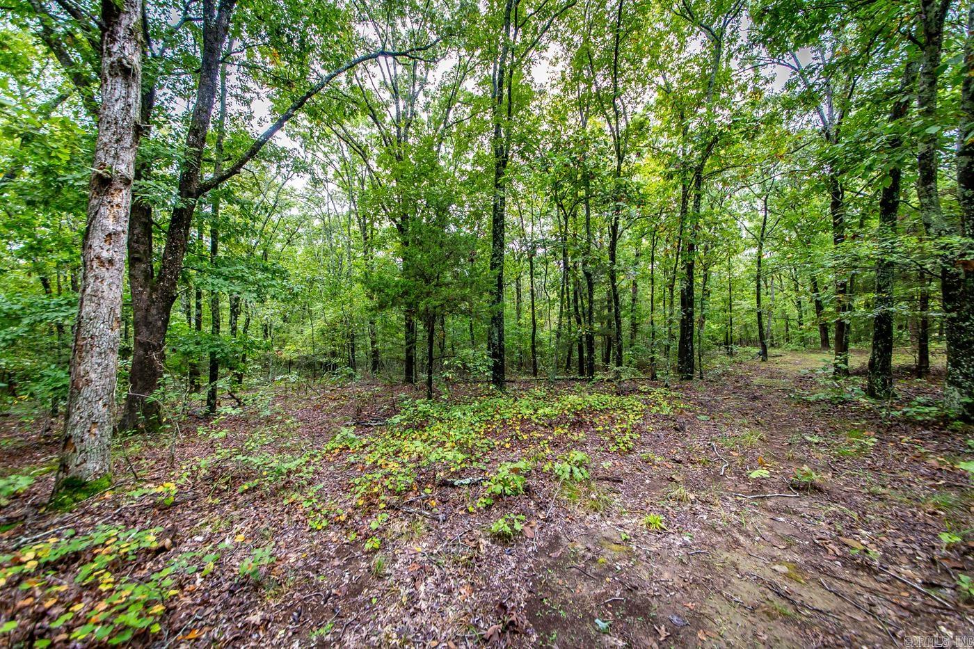 0 Kent  Clinton, AR