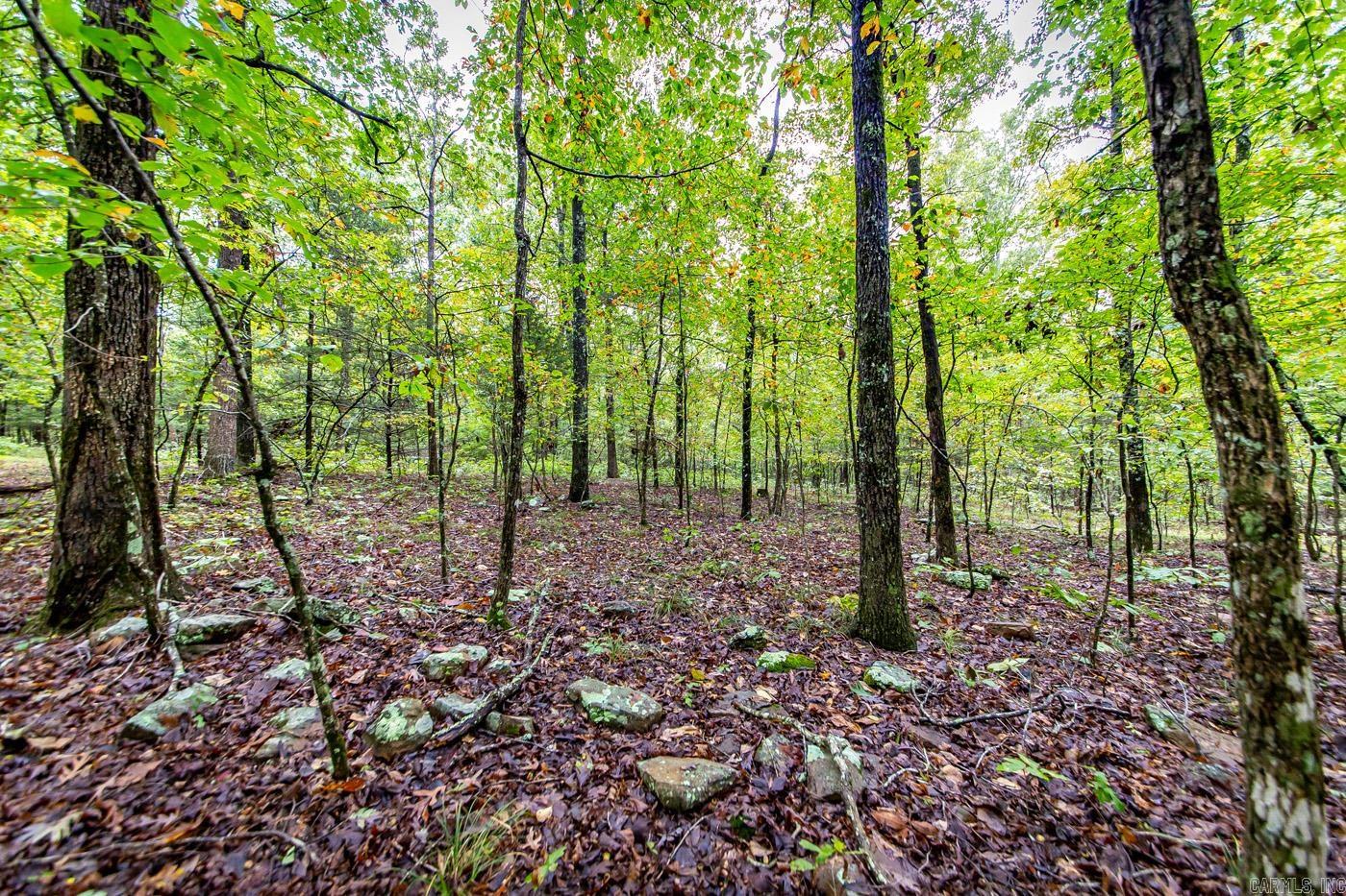 0 Kent  Clinton, AR