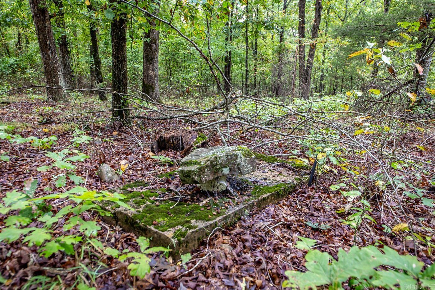 0 Kent  Clinton, AR