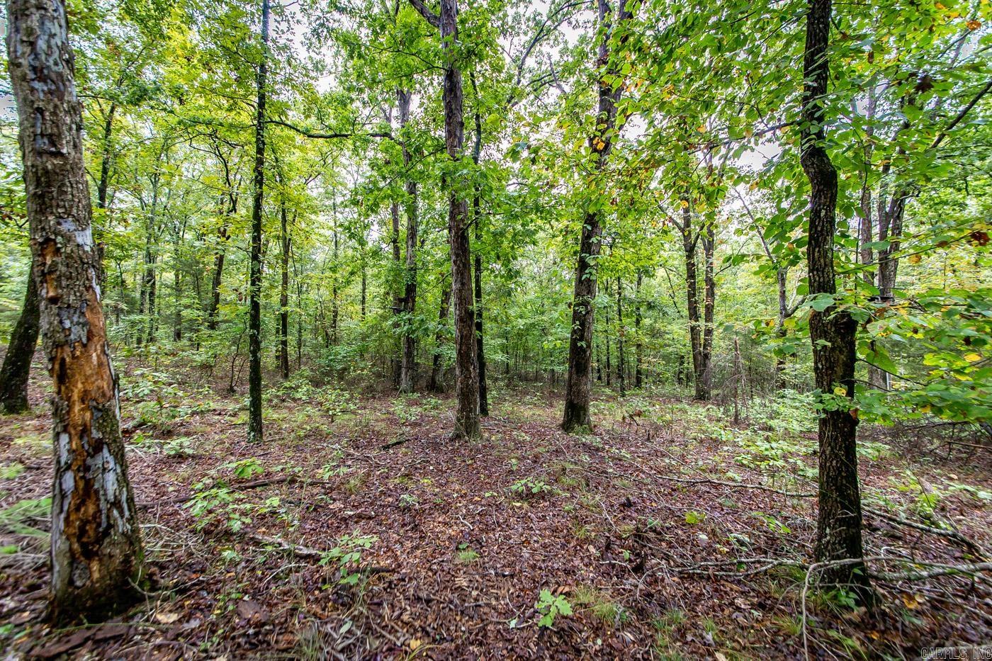 0 Kent  Clinton, AR