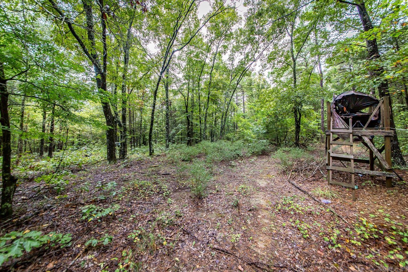 0 Kent  Clinton, AR