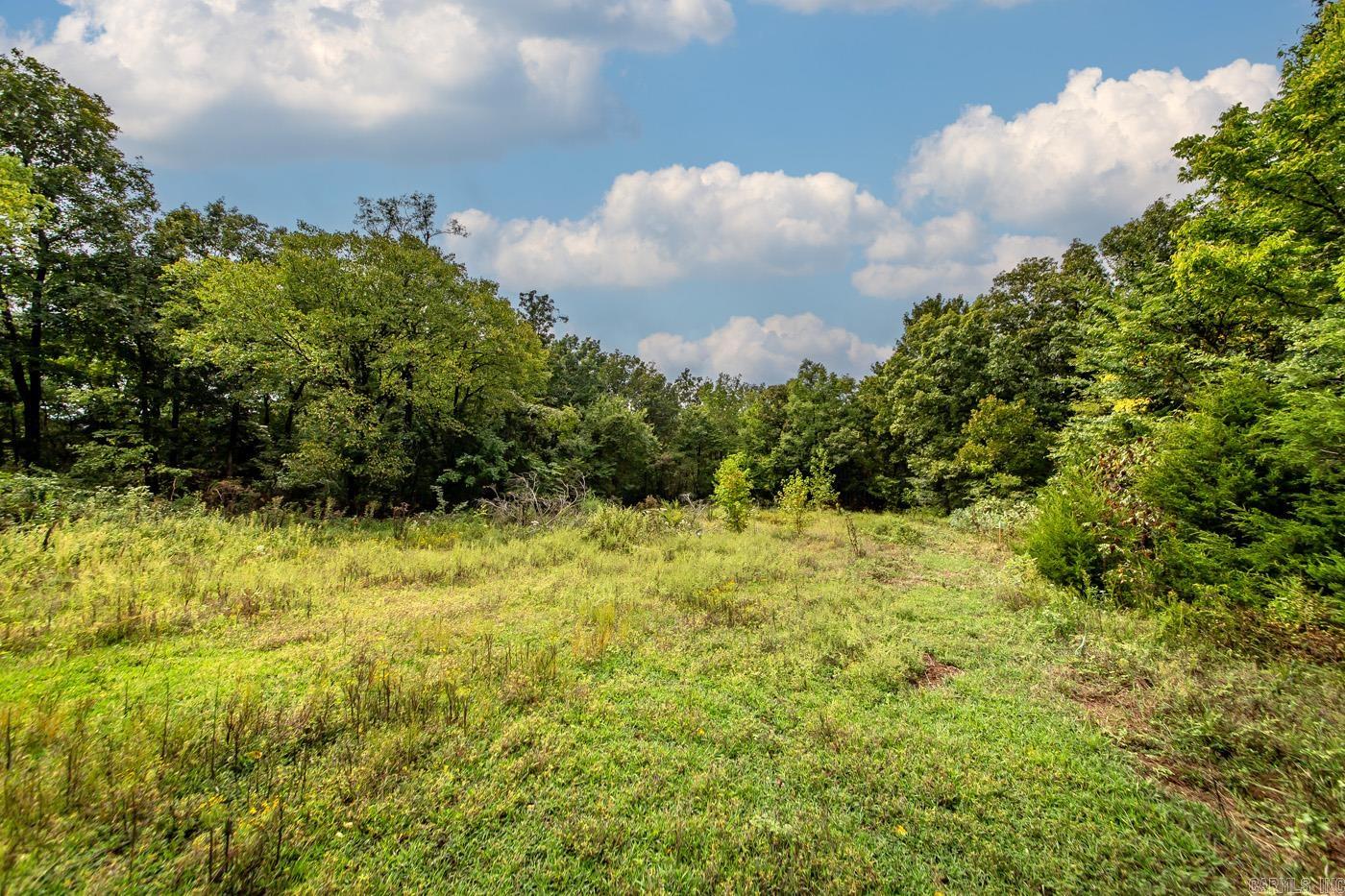 2230 Browntown  Witt Springs, AR