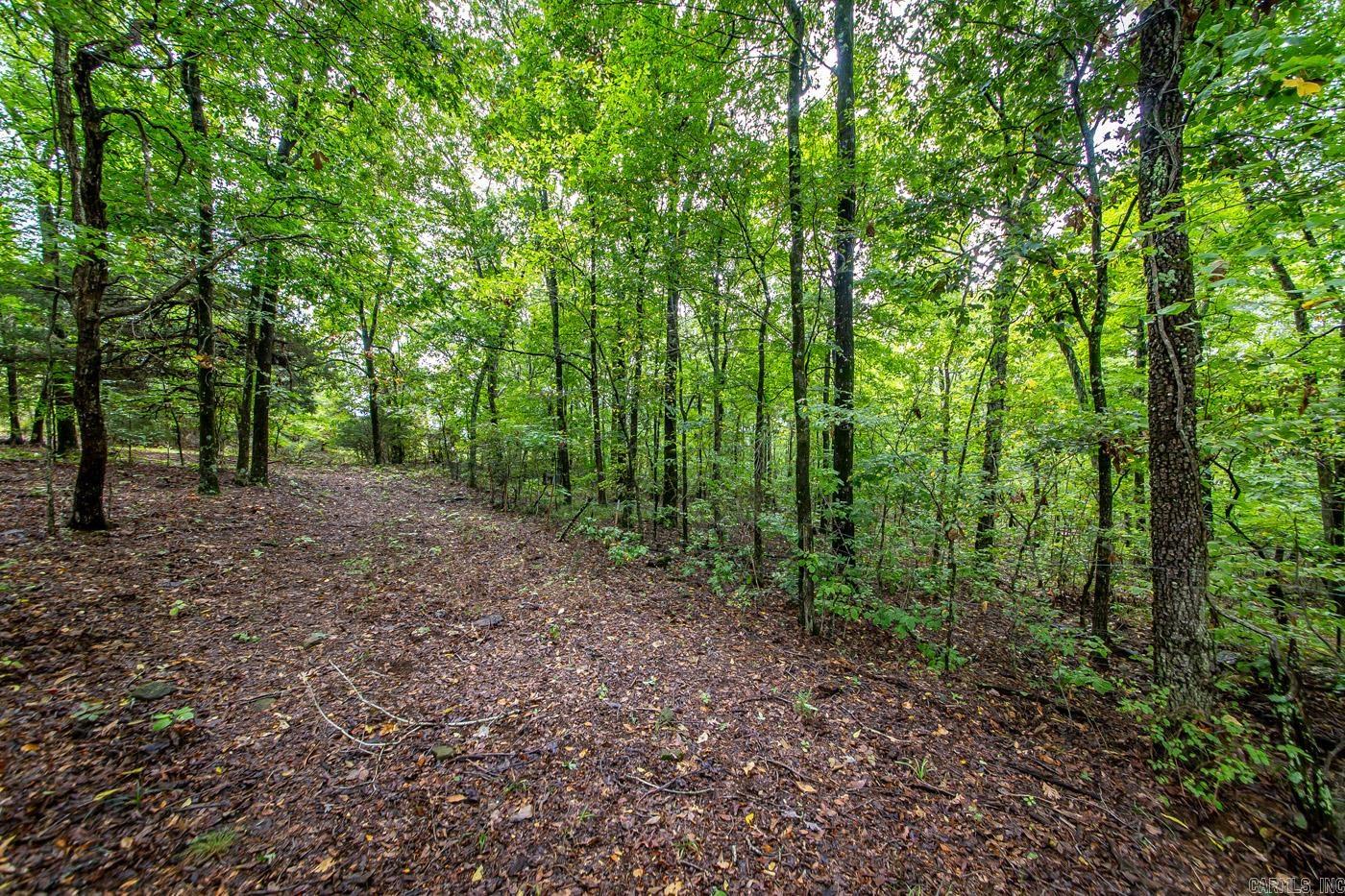 2230 Browntown  Witt Springs, AR