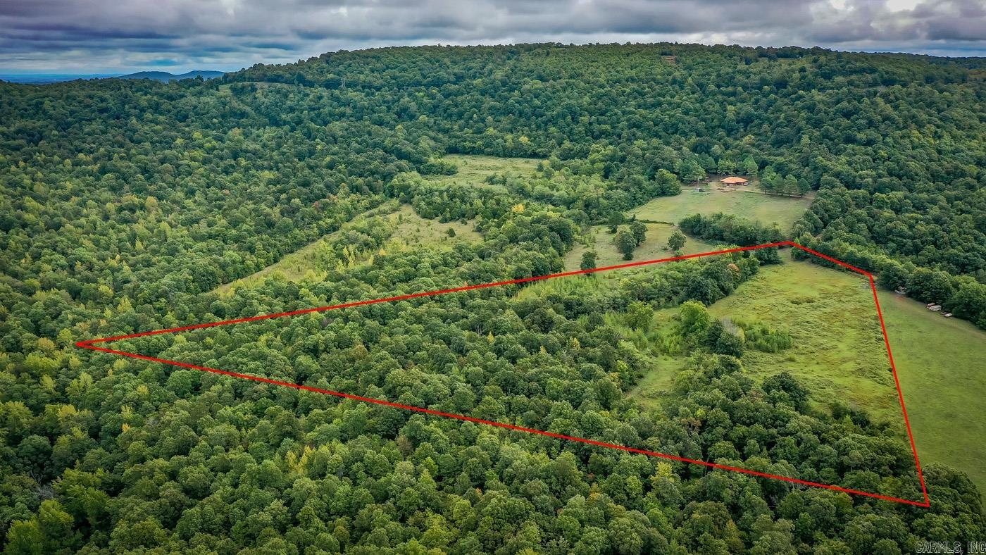 2230 Browntown  Witt Springs, AR