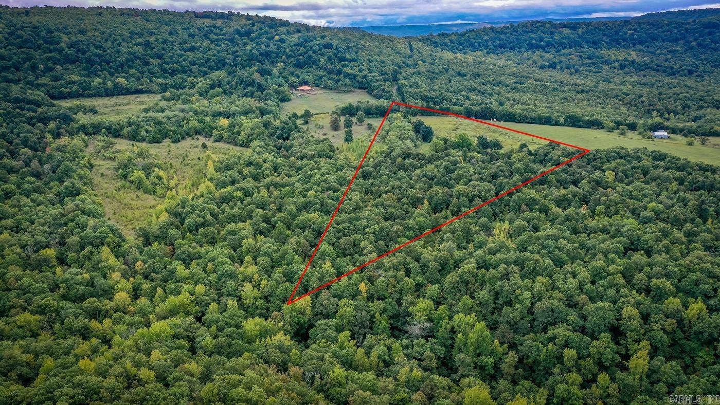 2230 Browntown  Witt Springs, AR