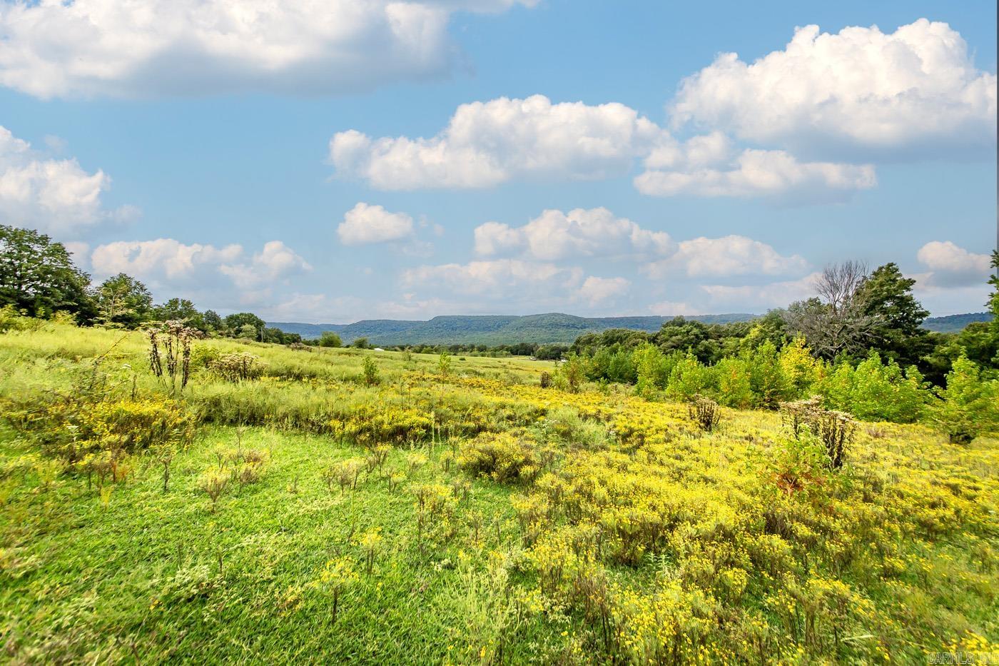 2230 Browntown  Witt Springs, AR