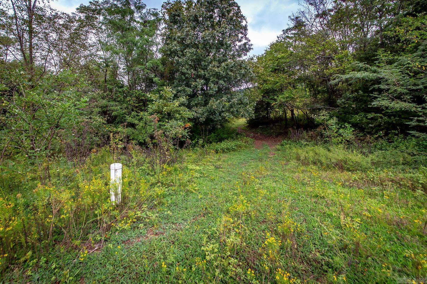 2230 Browntown  Witt Springs, AR