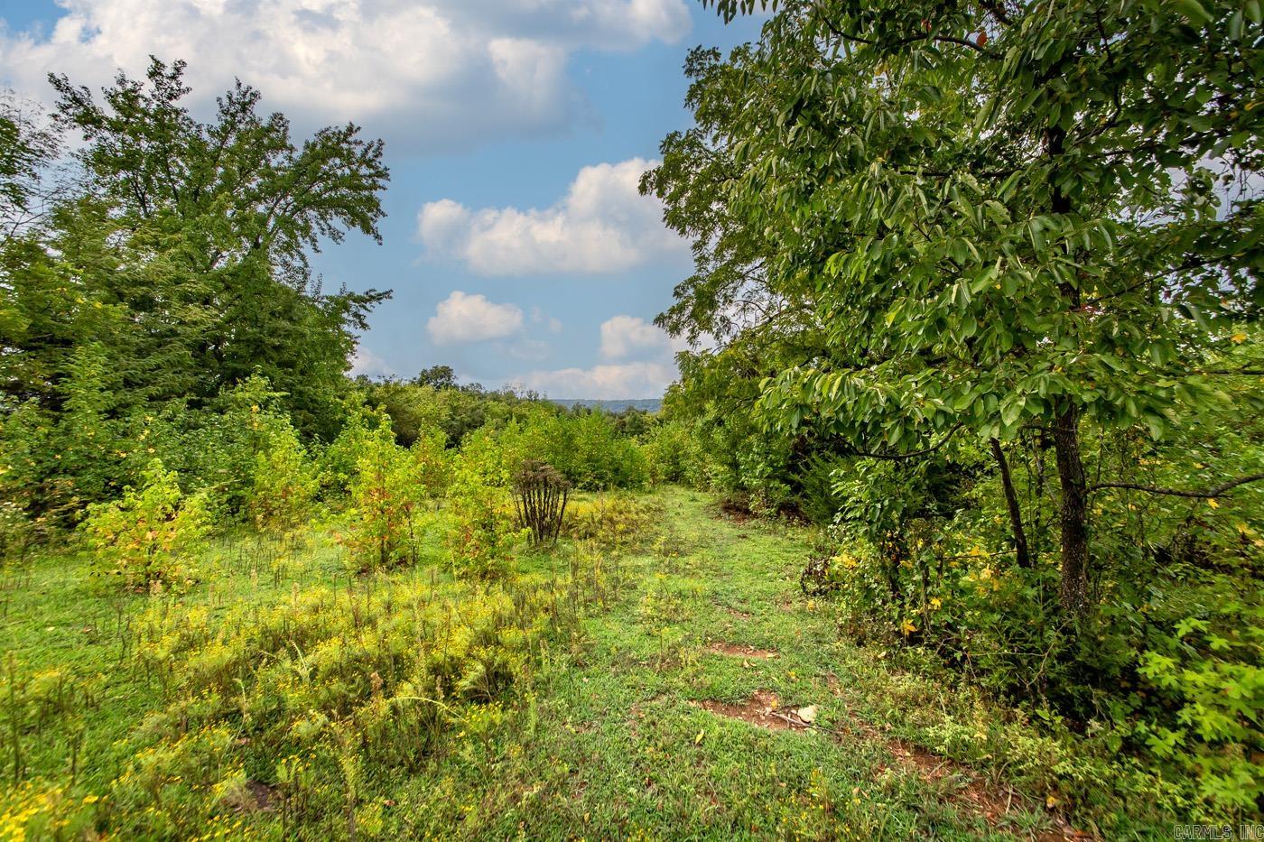 2230 Browntown  Witt Springs, AR