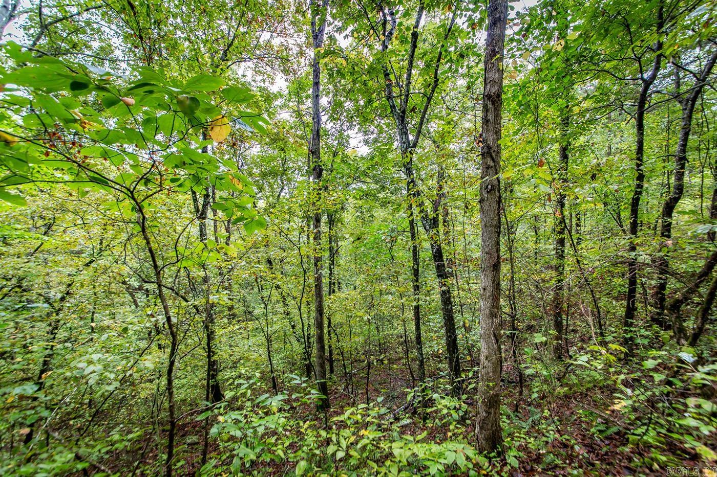 4861 Oyler  Clinton, AR
