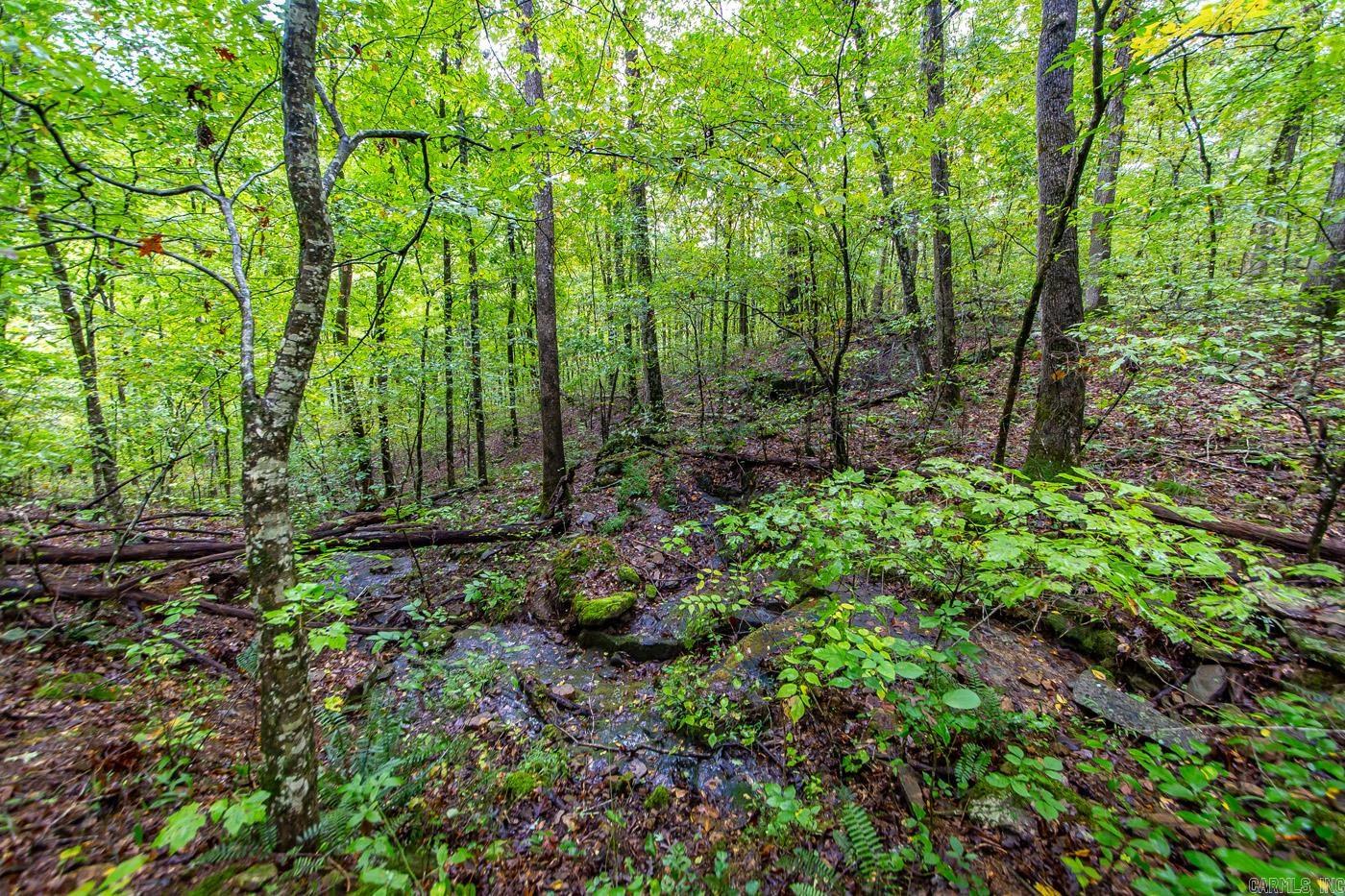 4861 Oyler  Clinton, AR