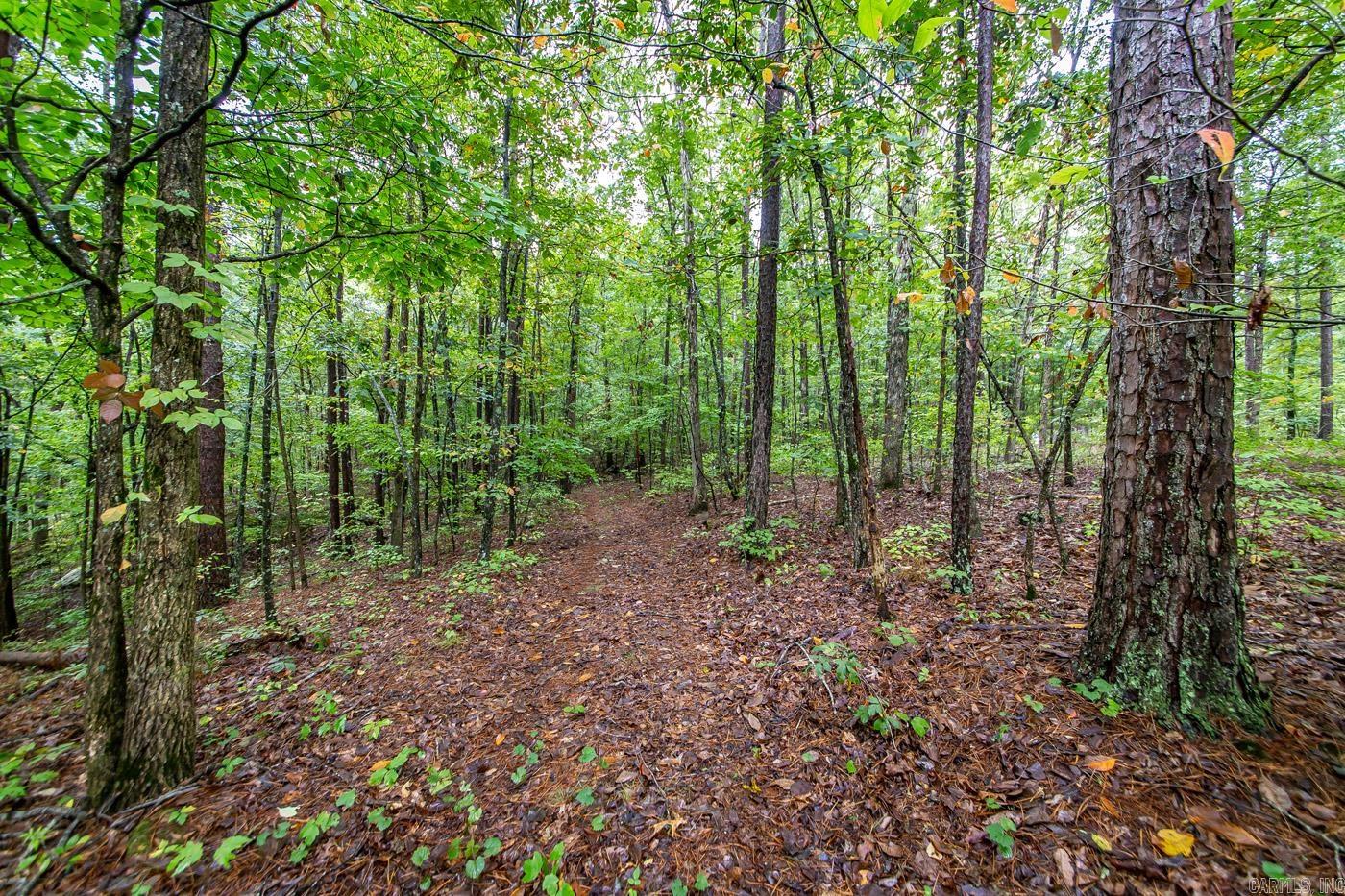 4861 Oyler  Clinton, AR