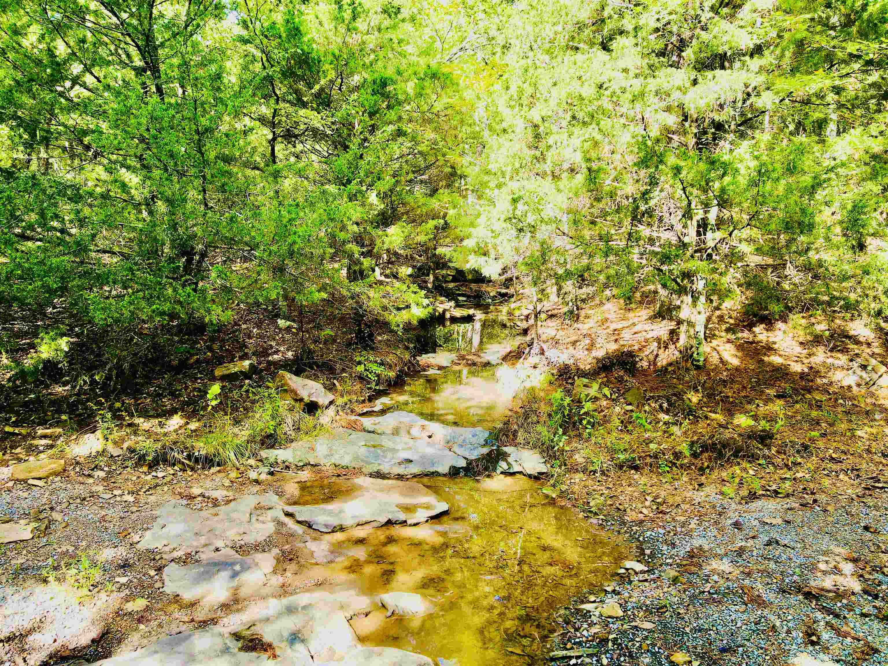 389 Nettle Trail  Marshall, AR