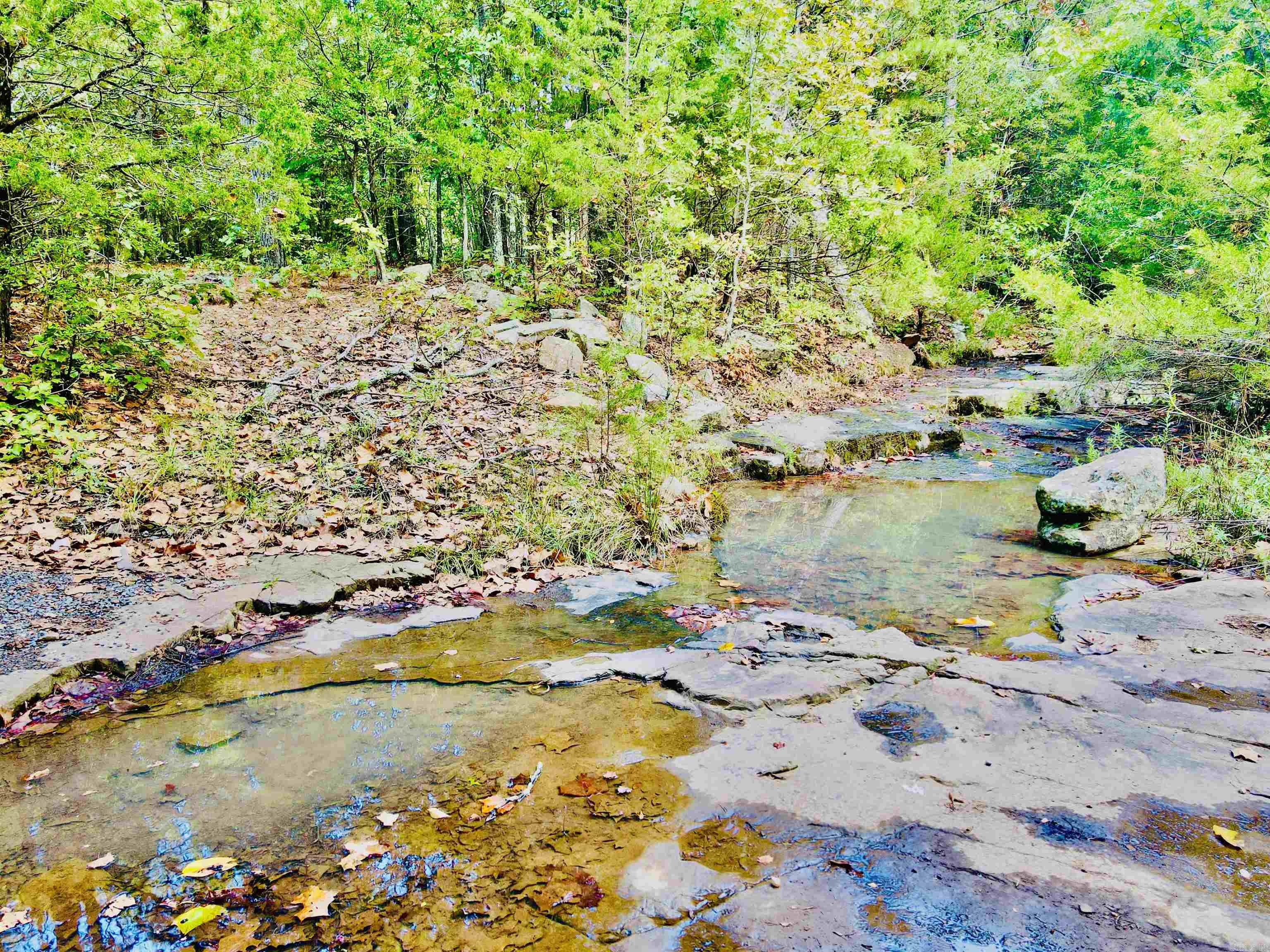 389 Nettle Trail  Marshall, AR