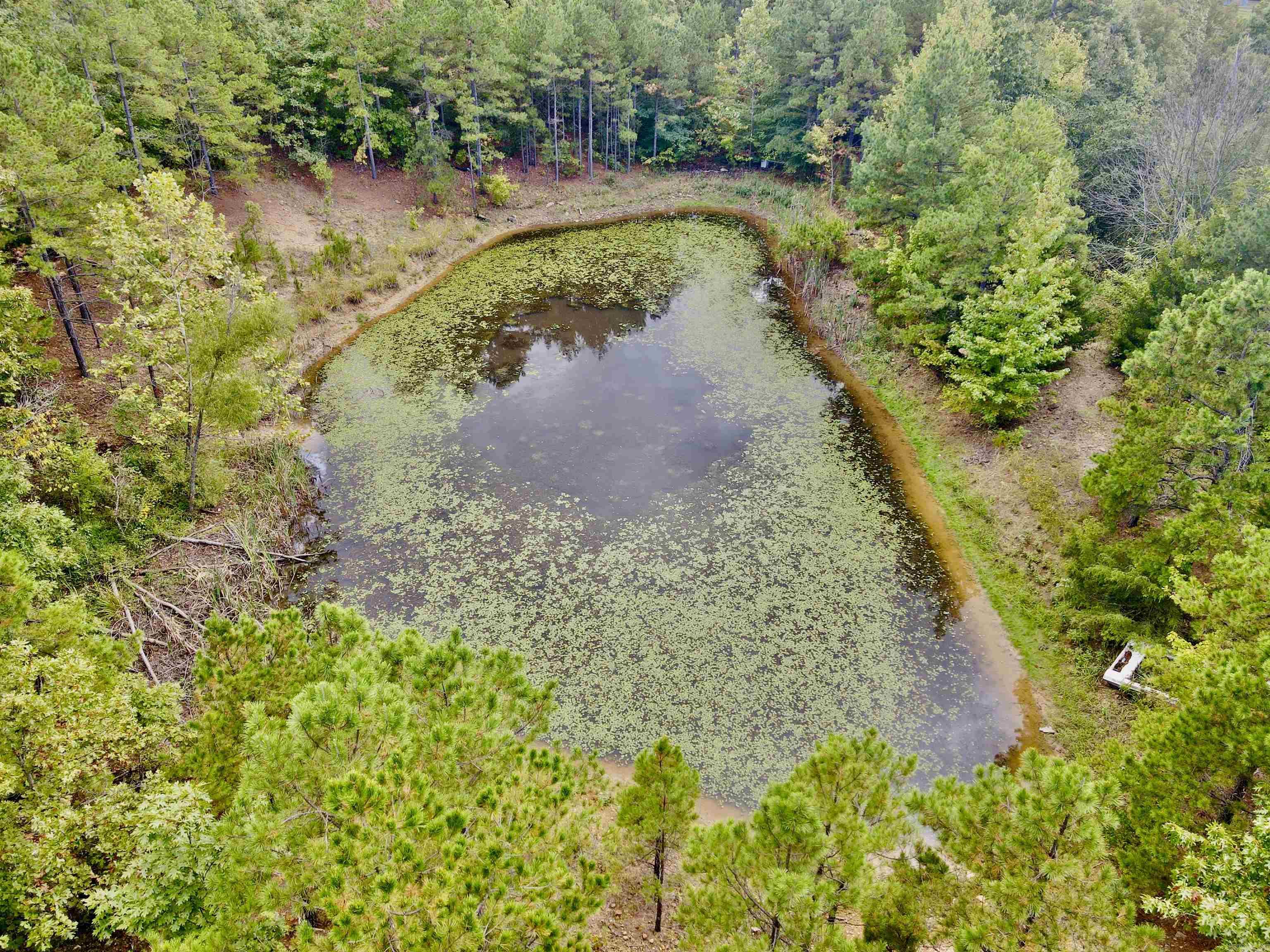389 Nettle Trail  Marshall, AR