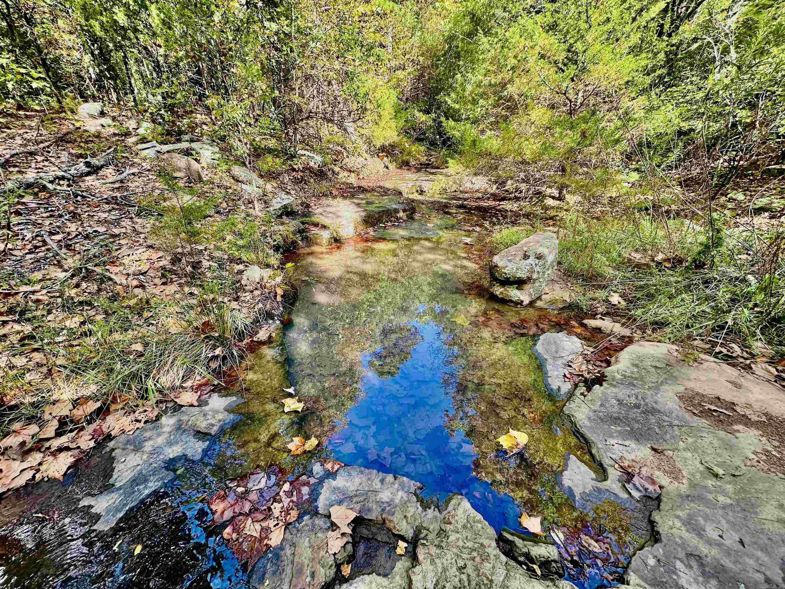 389 Nettle Trail  Marshall, AR