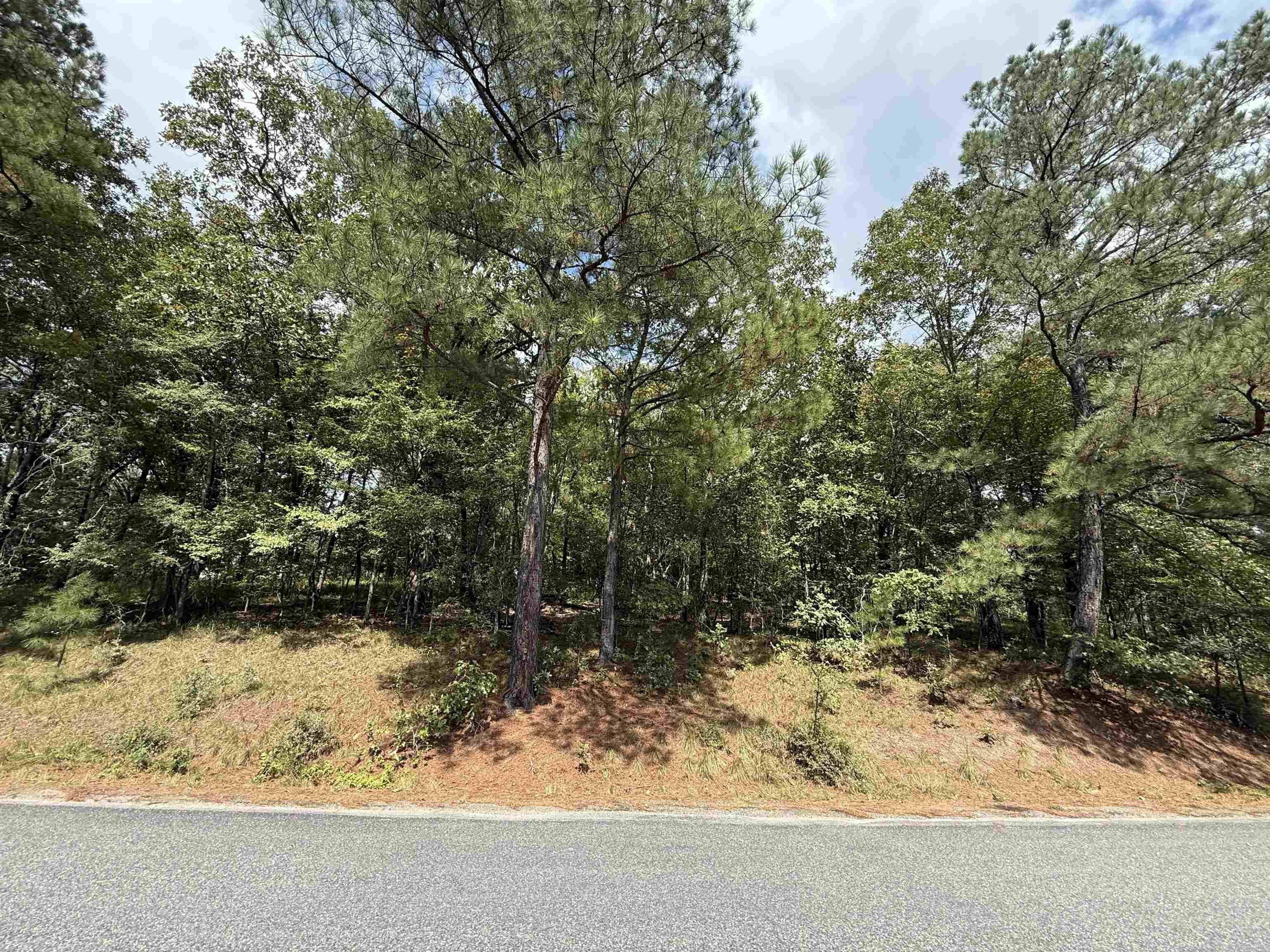 Lot 1312 Arlington  Hot Springs, AR