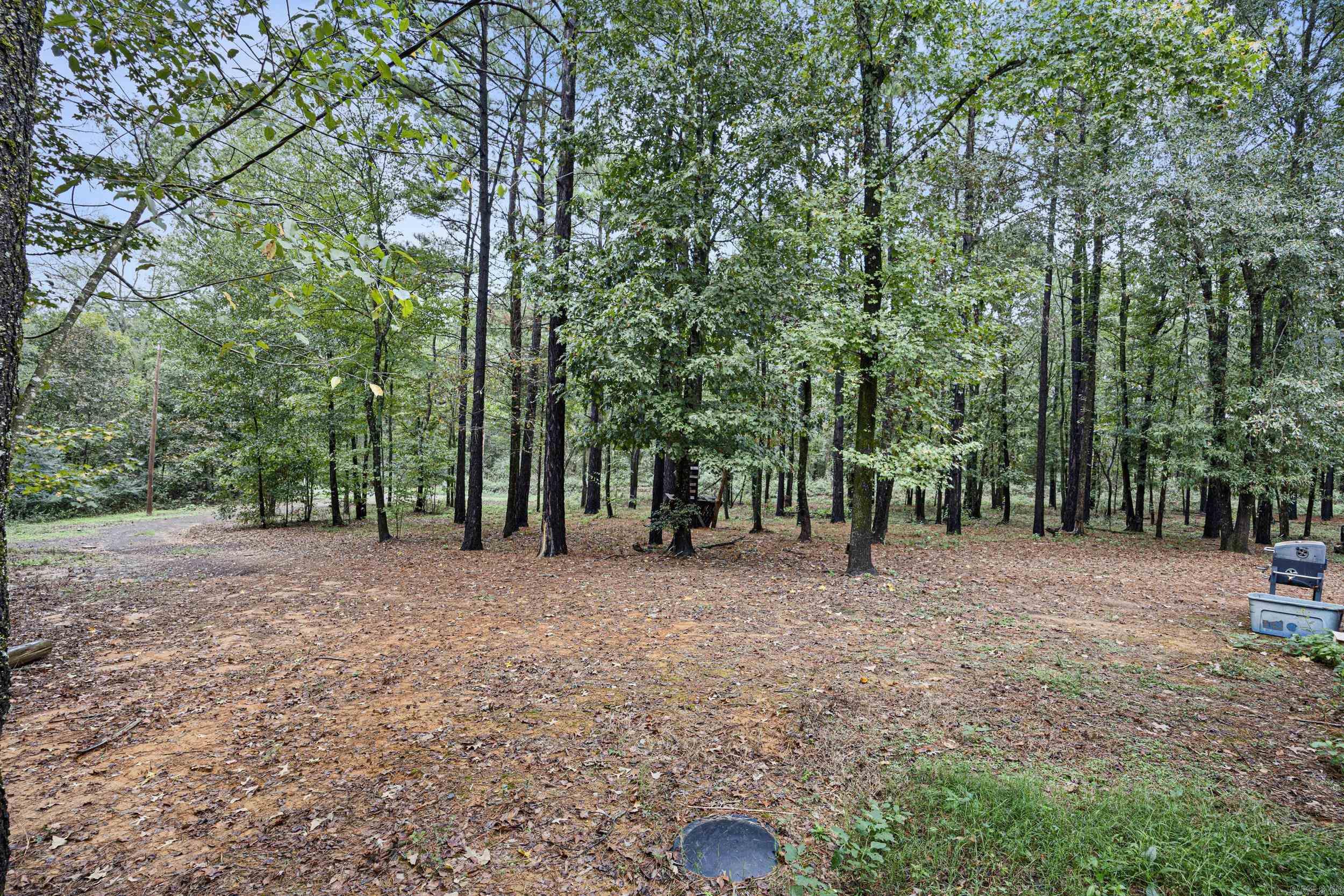 11882 E Old Belleville  Belleville, AR