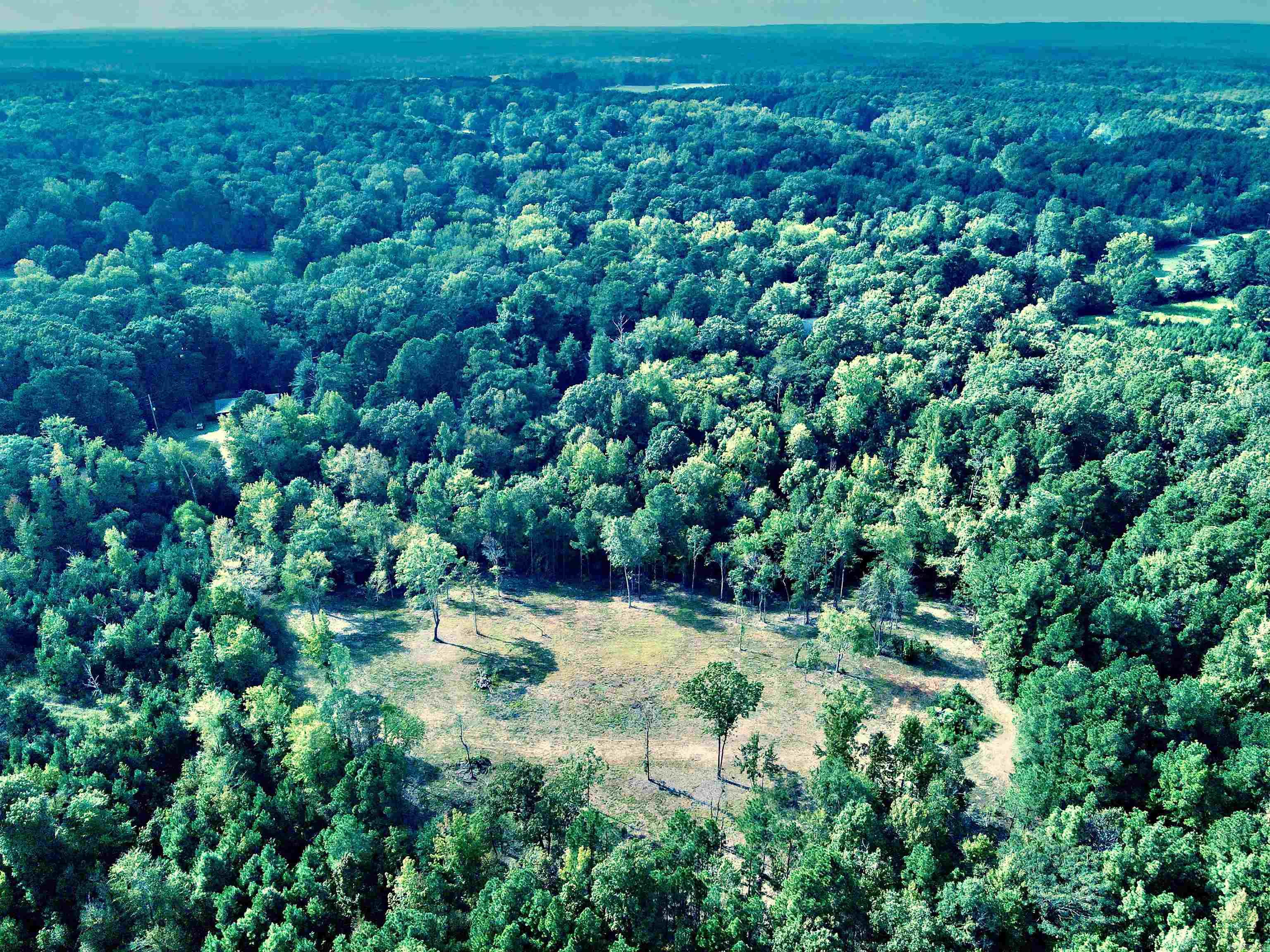 TBD Cedar Grove  Arkadelphia, AR