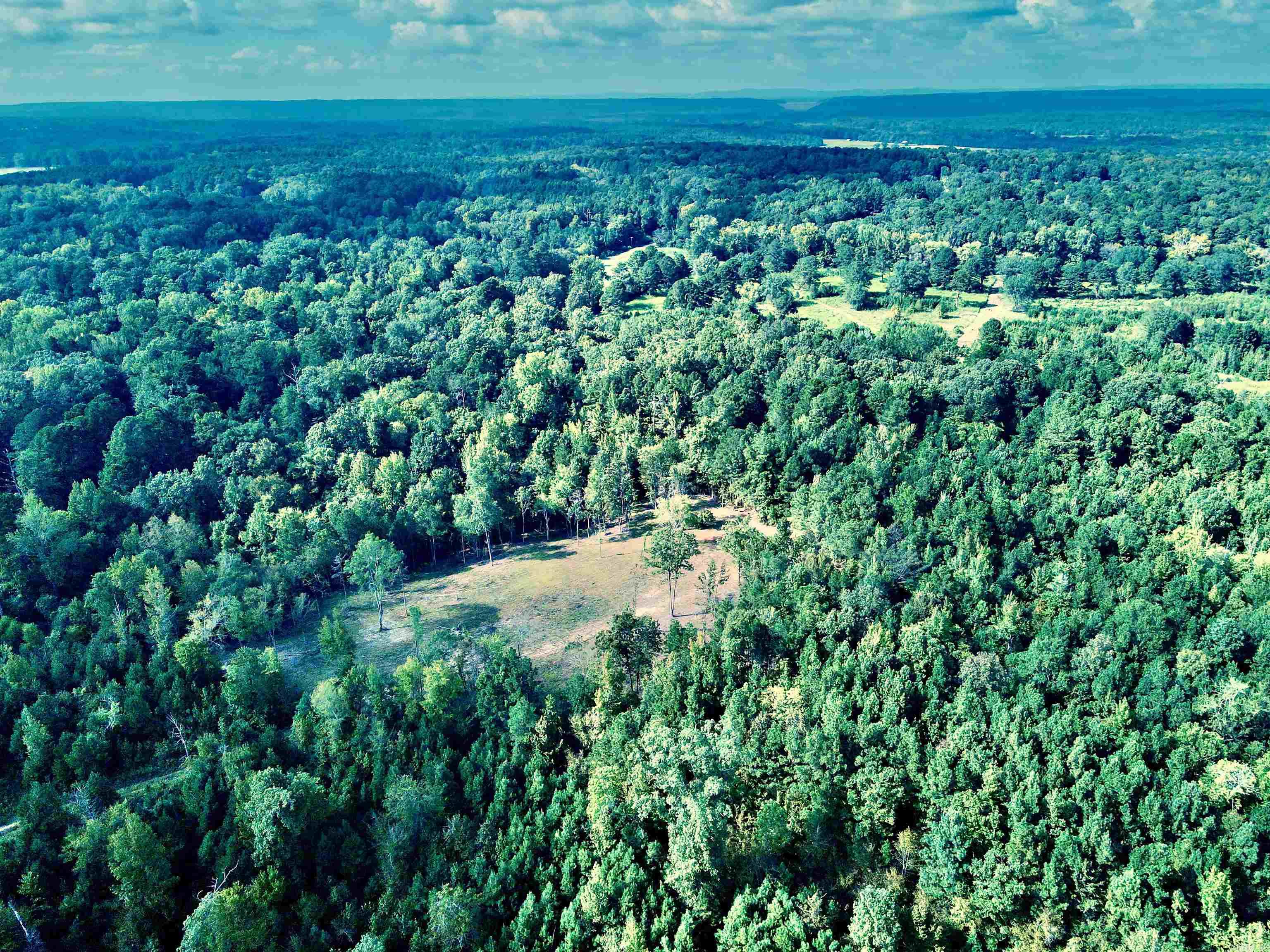 TBD Cedar Grove  Arkadelphia, AR